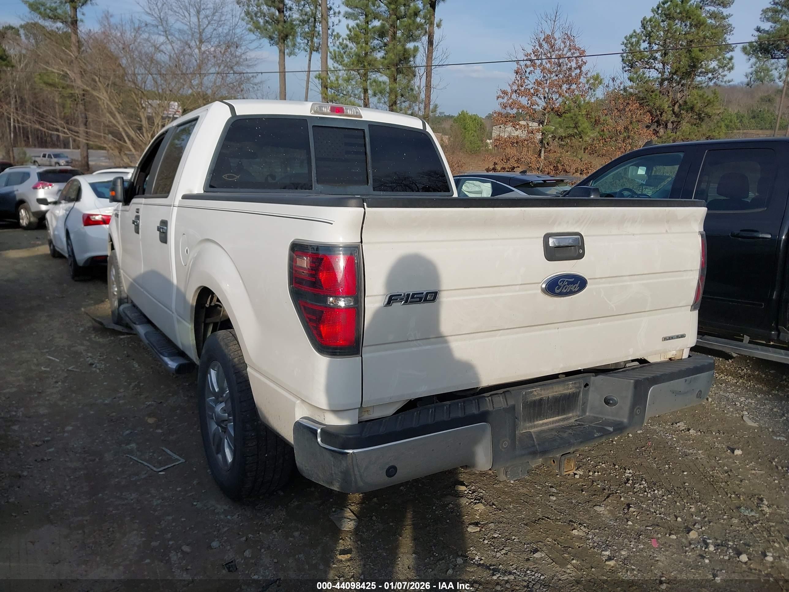 FORD F-150 image 3