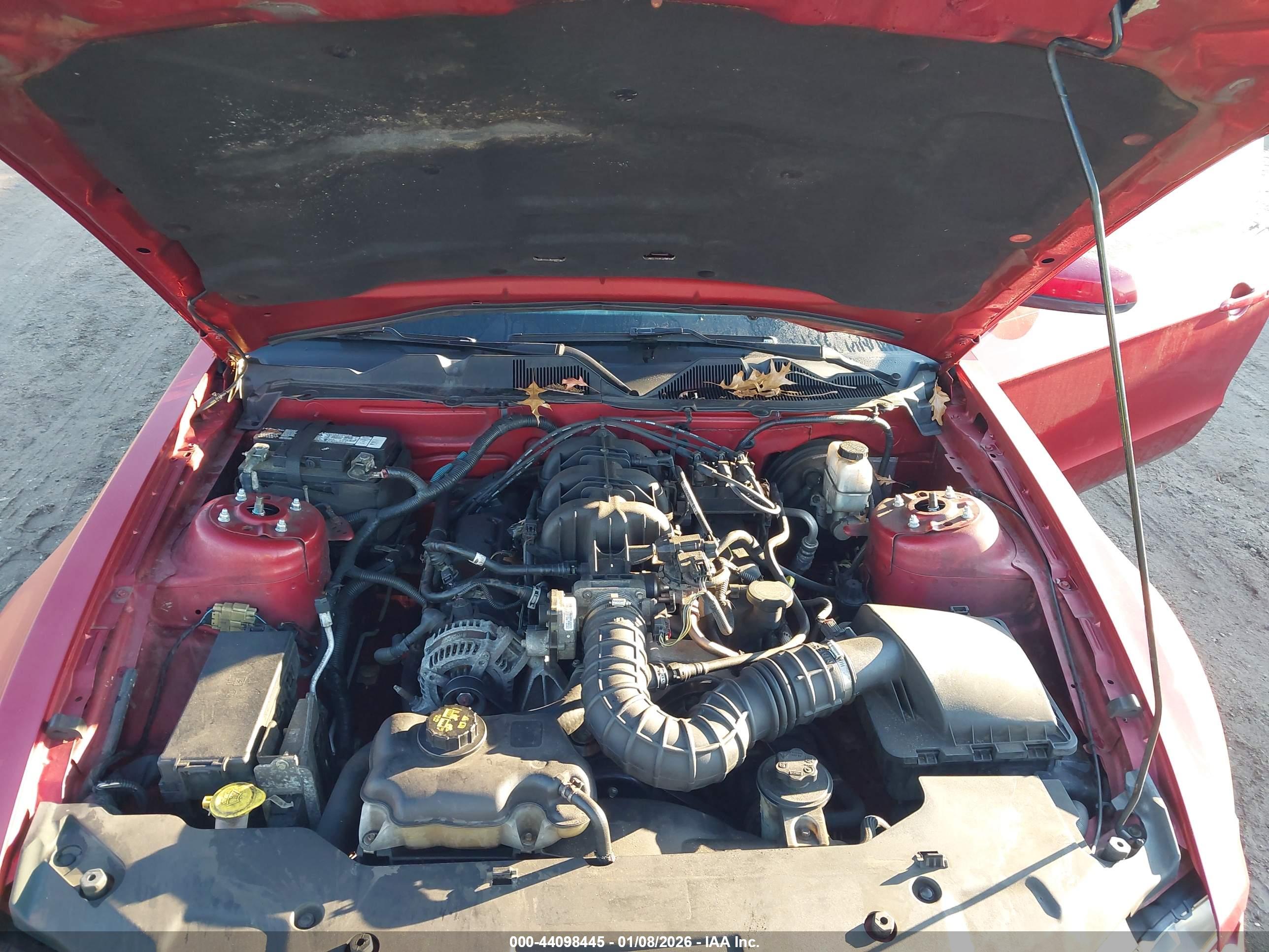 FORD MUSTANG image 10