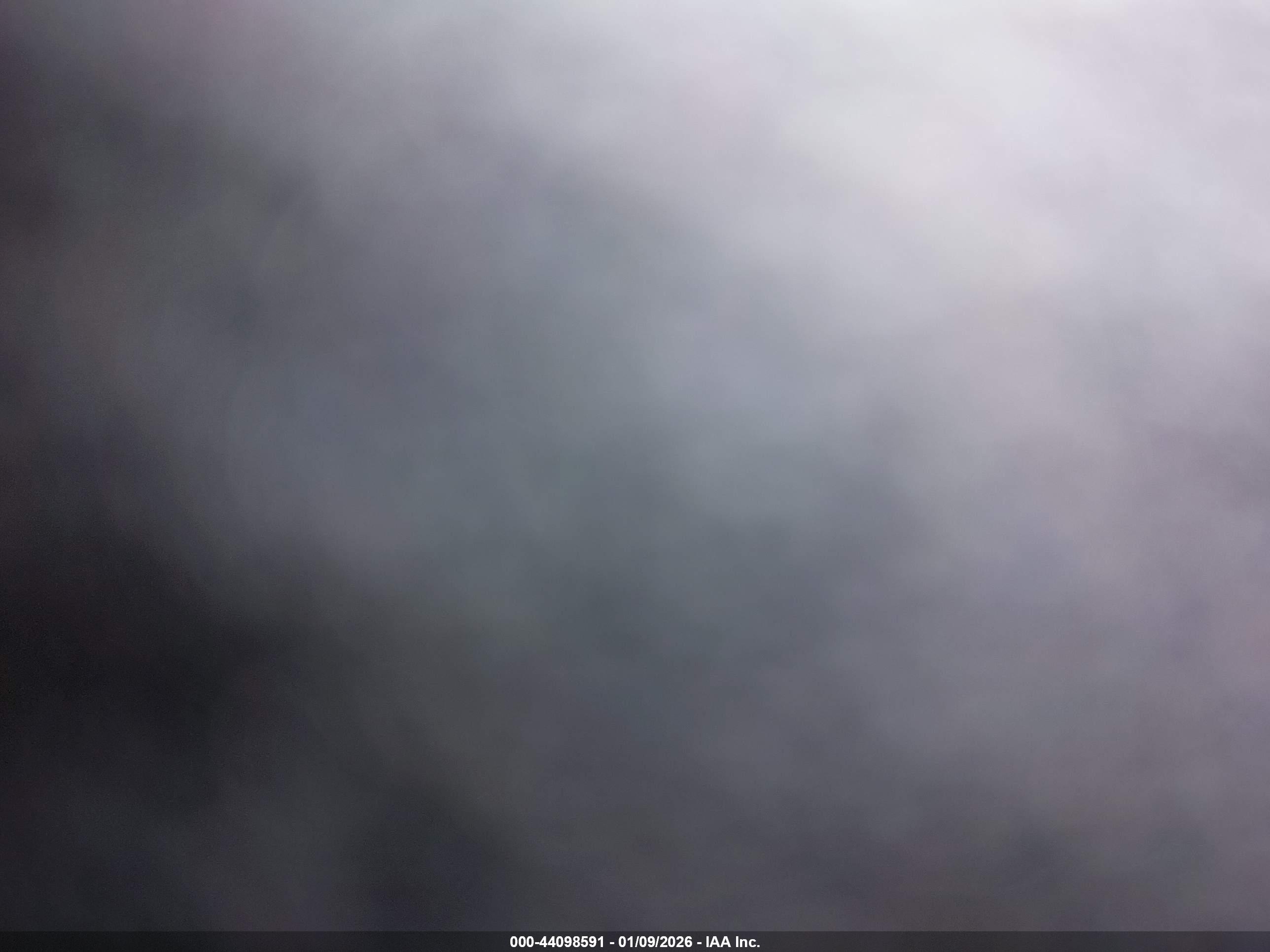 TESLA MODEL image 10