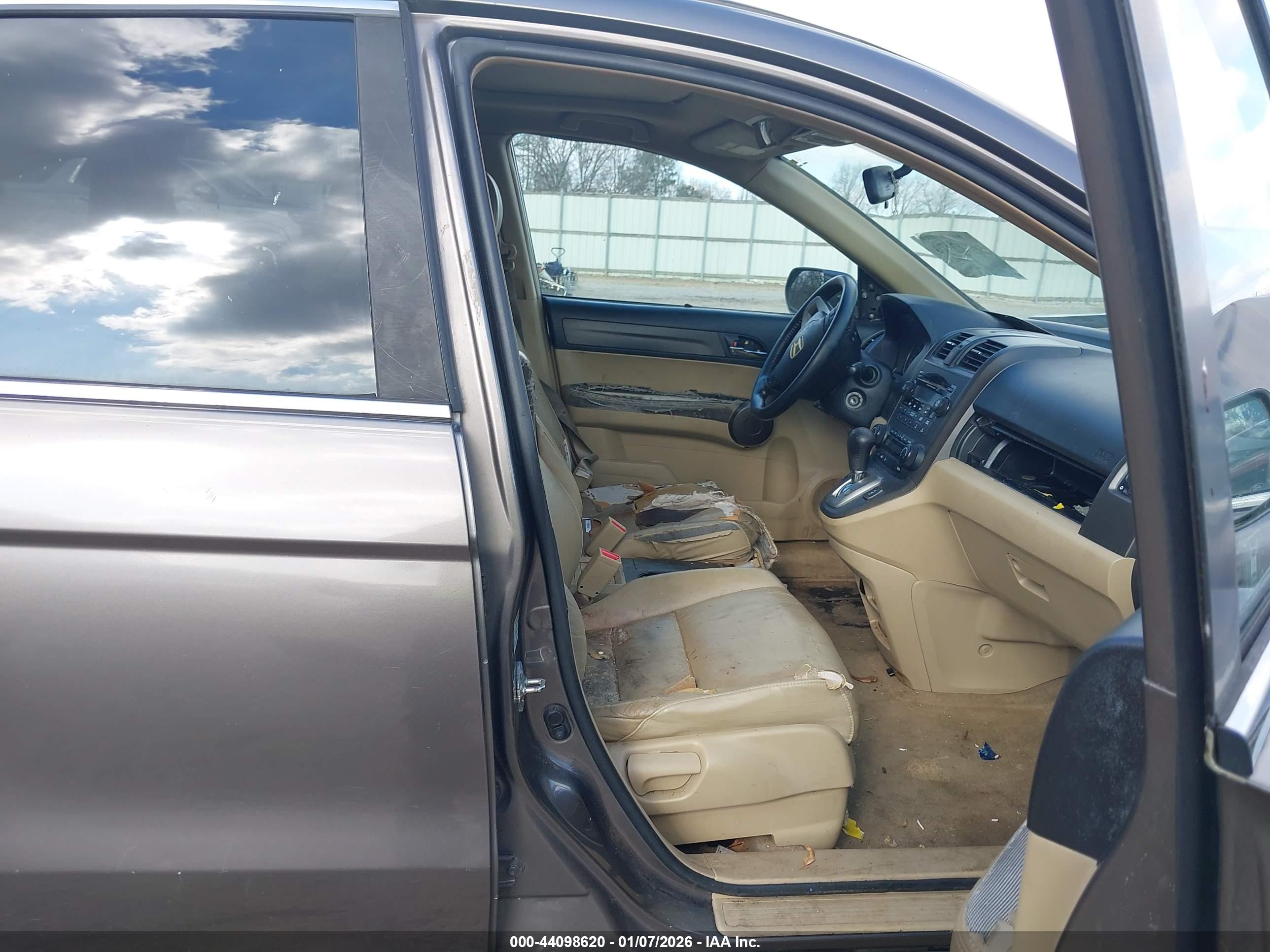 HONDA CR-V image 5