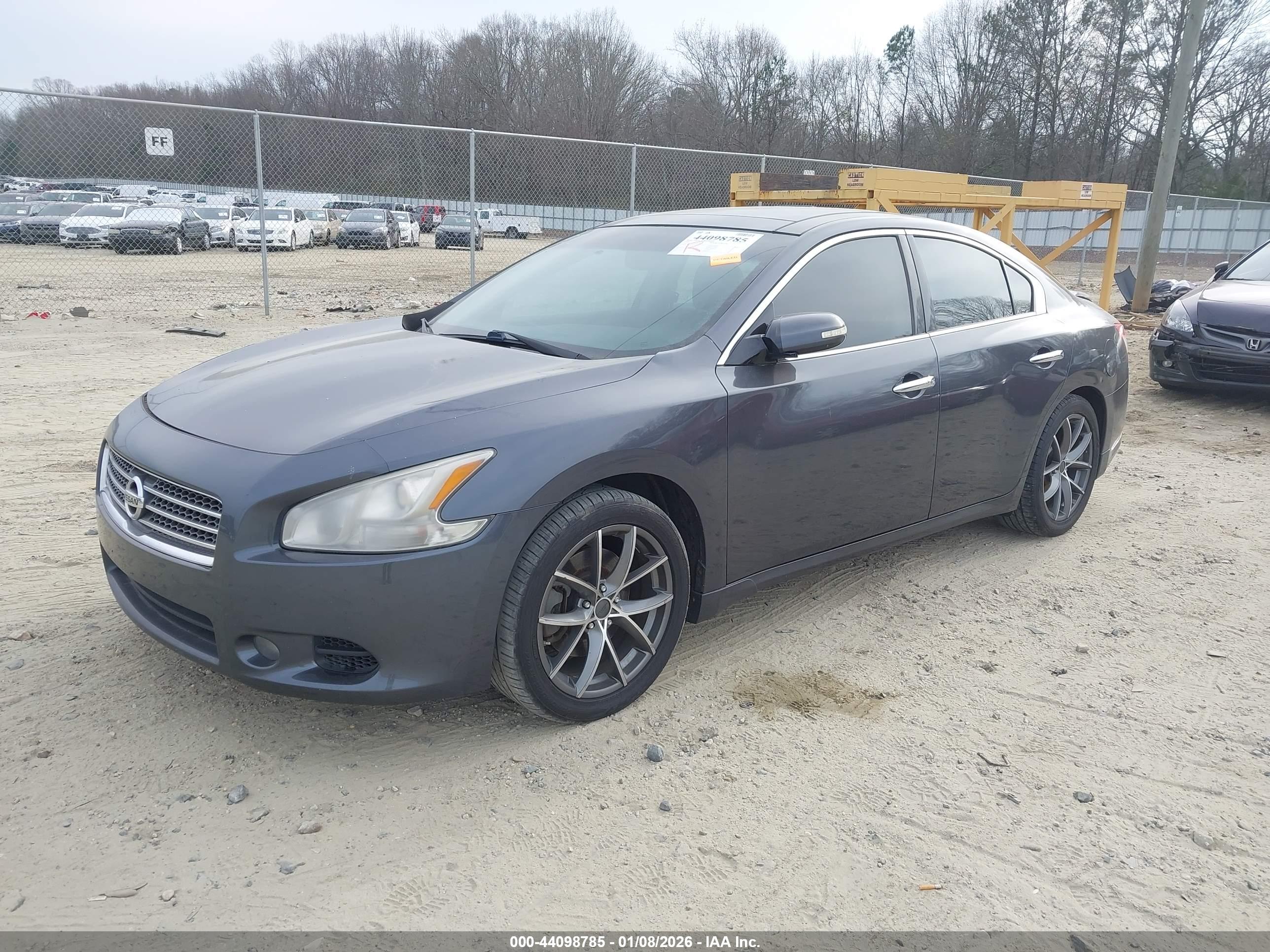 NISSAN MAXIMA image 2