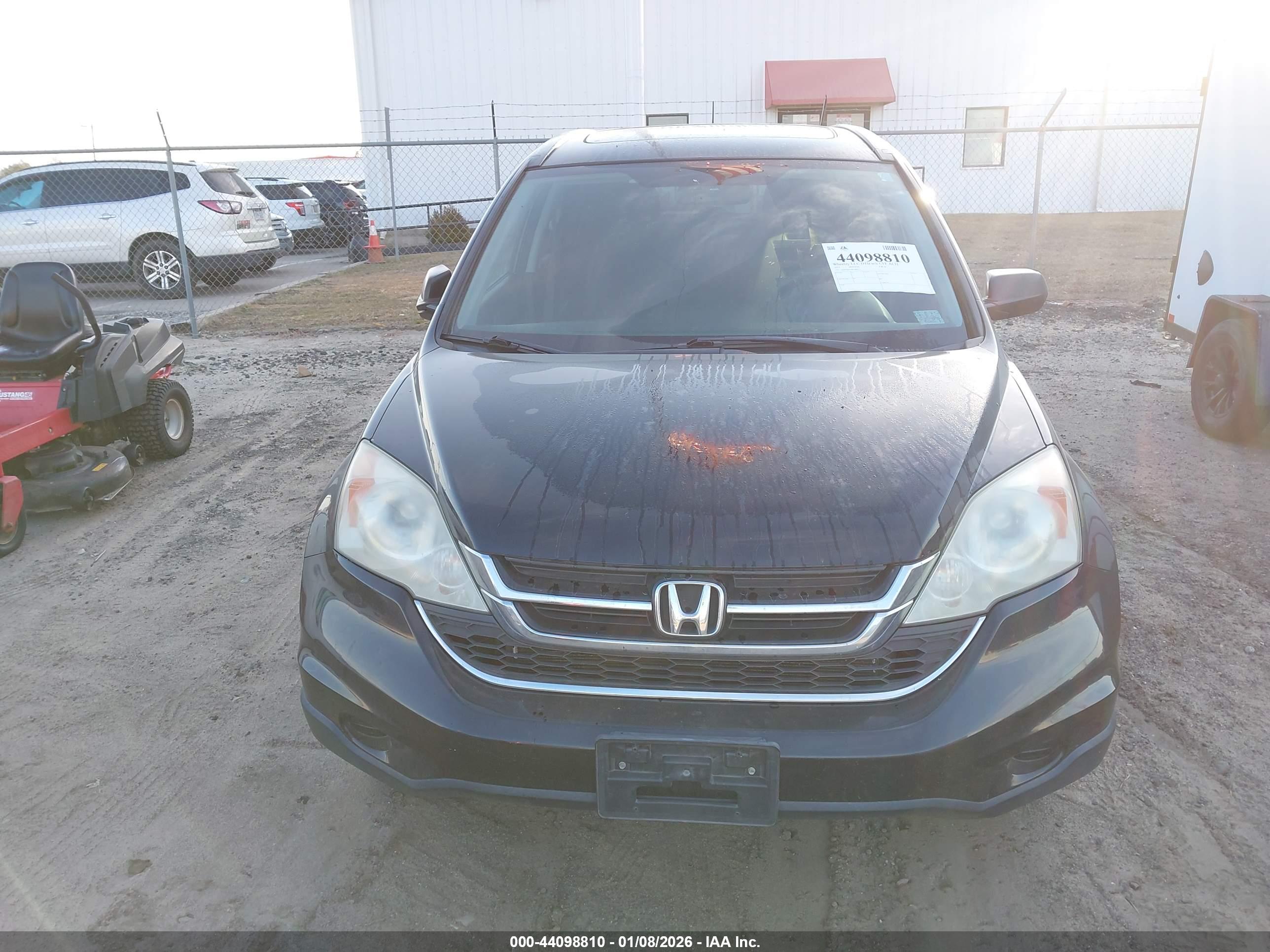 HONDA CR-V image 6