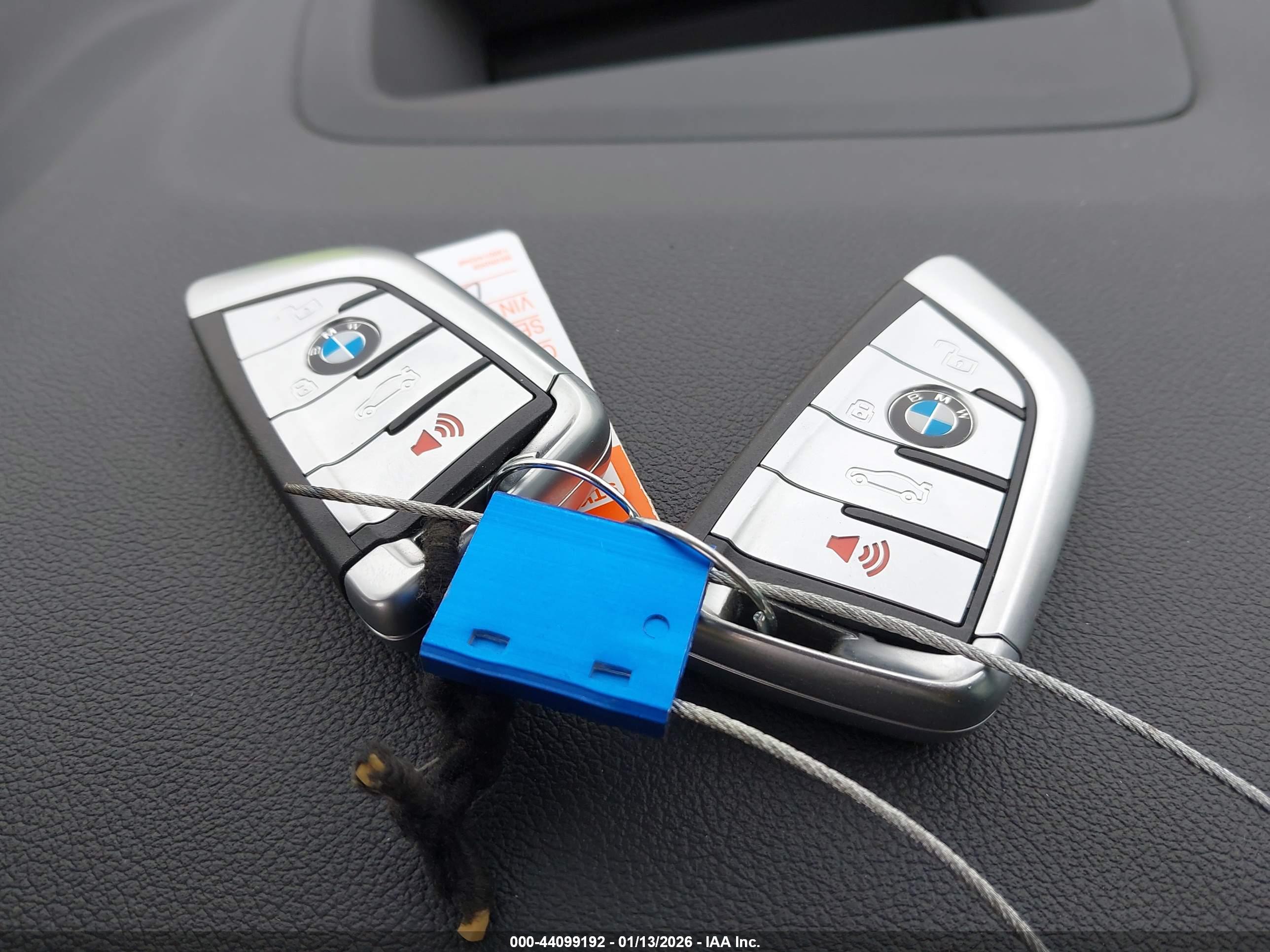 BMW X7 image 11