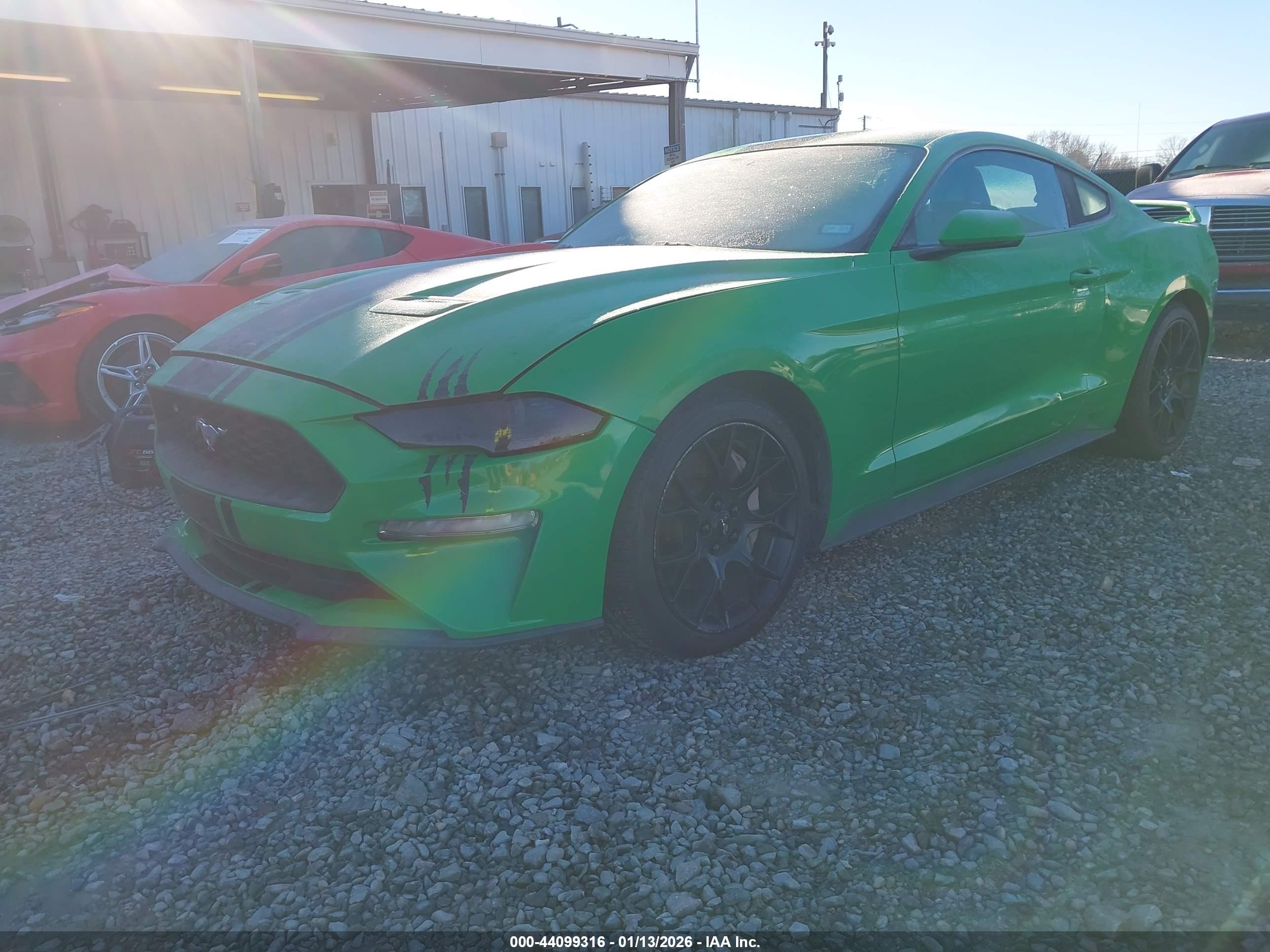FORD MUSTANG image 2