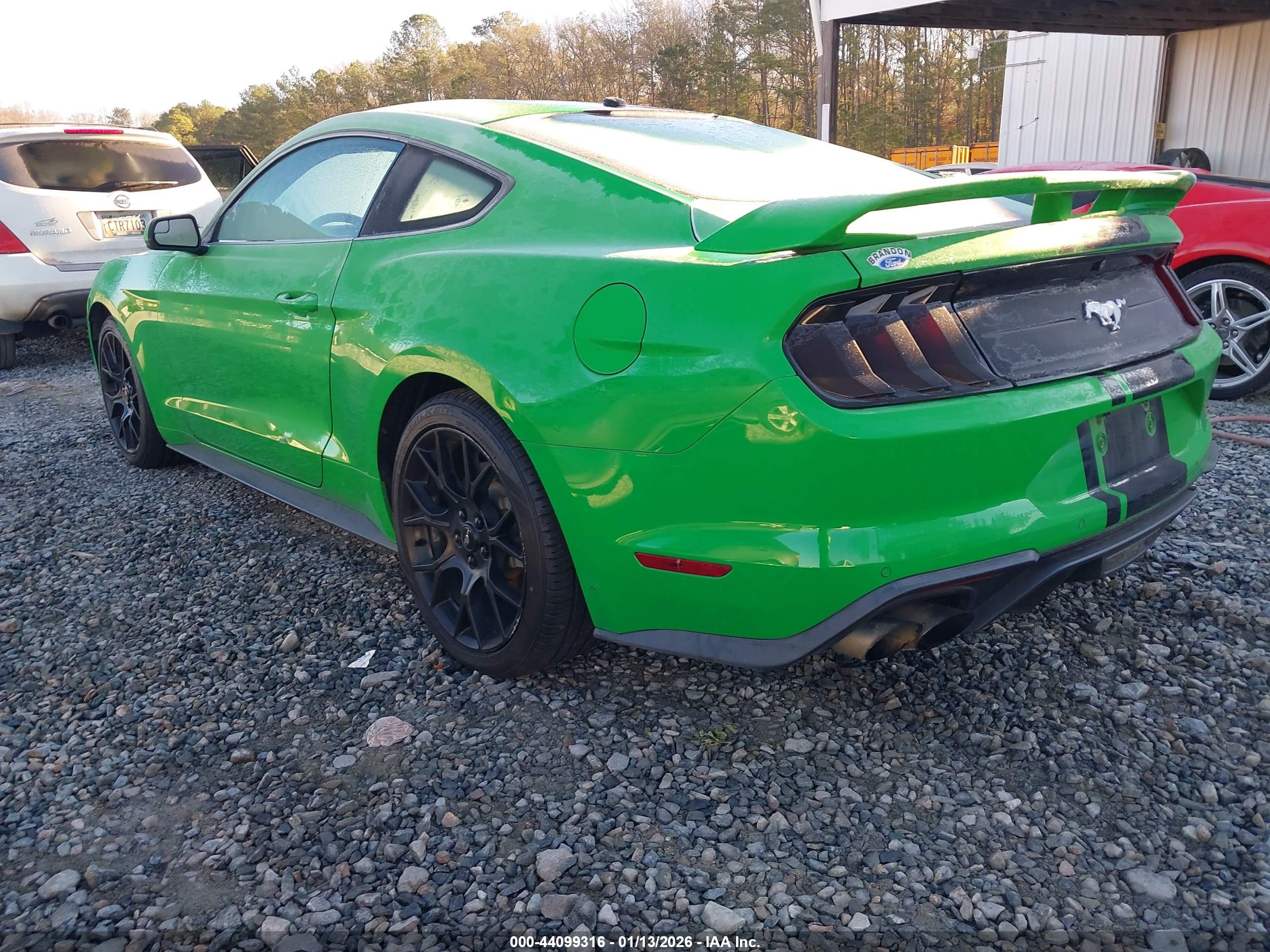 FORD MUSTANG image 3