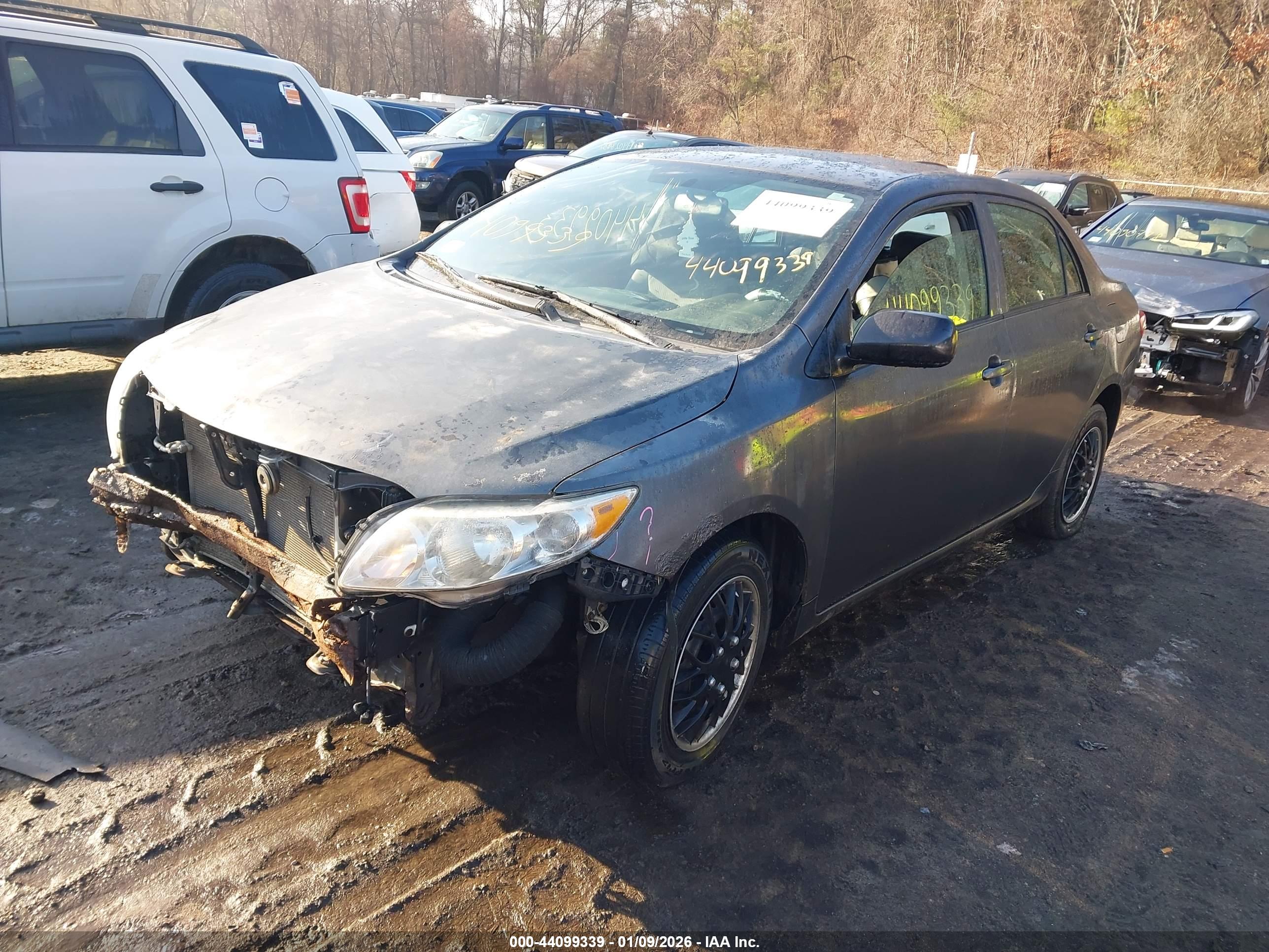 TOYOTA COROLLA image 2