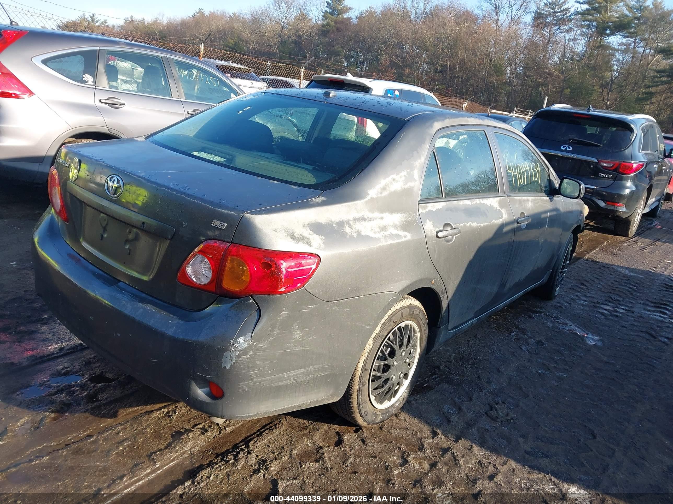 TOYOTA COROLLA image 4