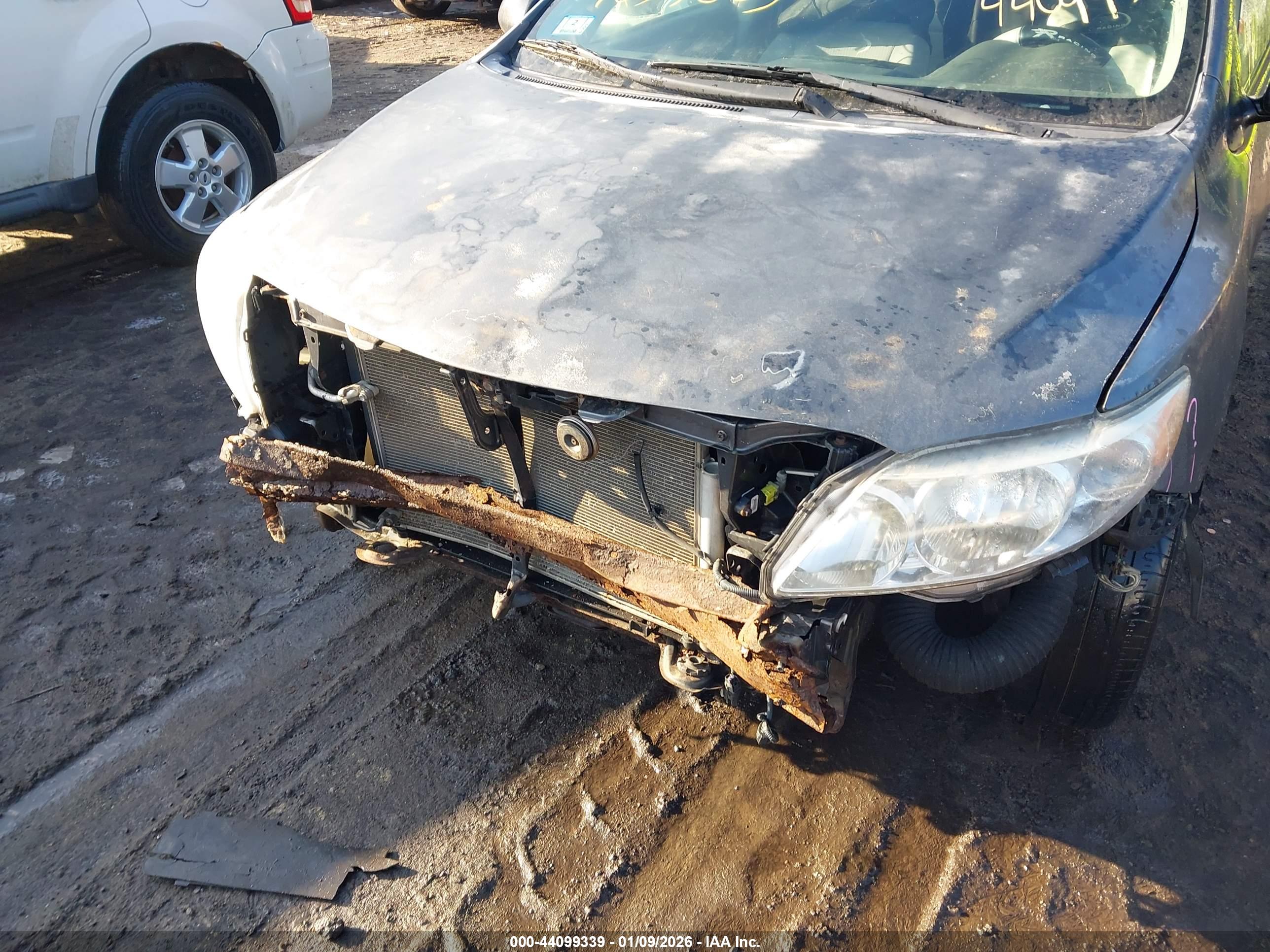 TOYOTA COROLLA image 6