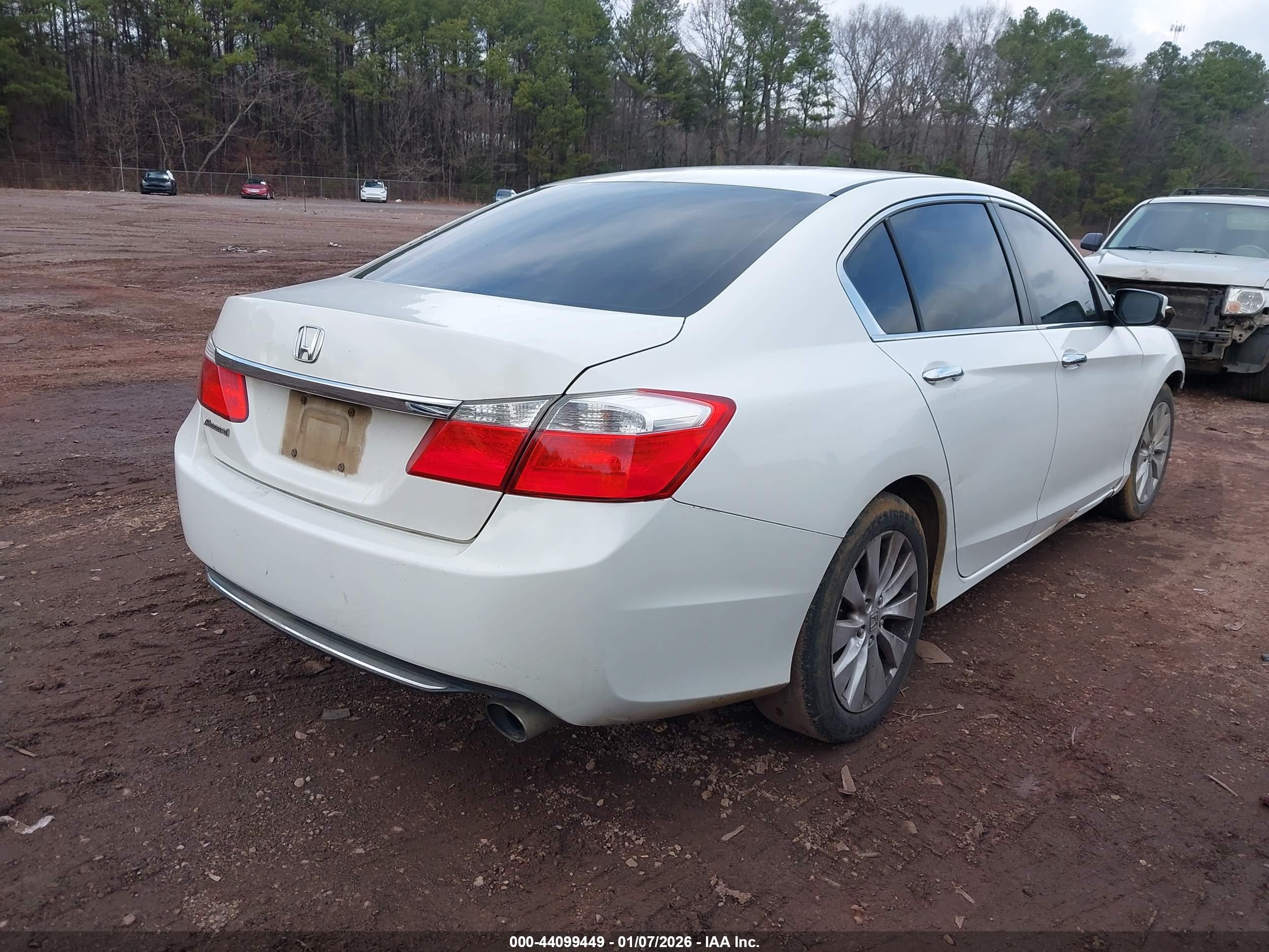 HONDA ACCORD image 4