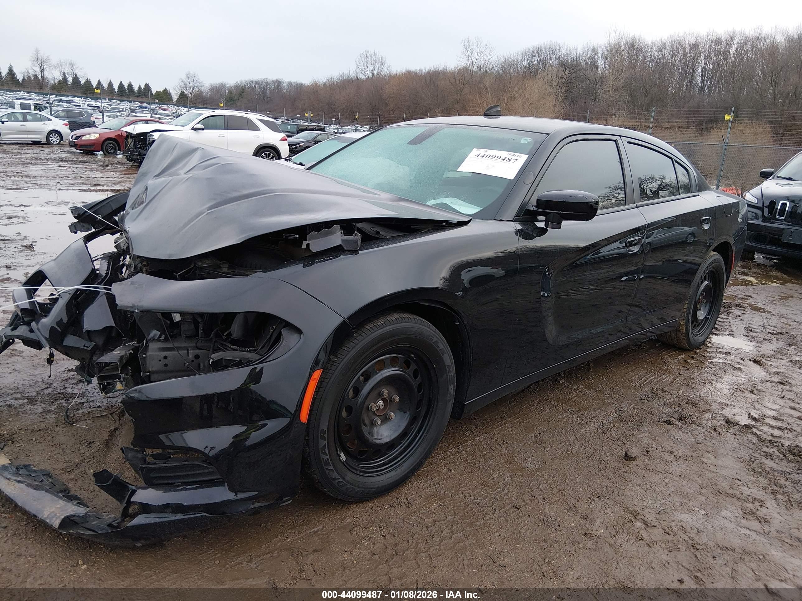 DODGE CHARGER image 2