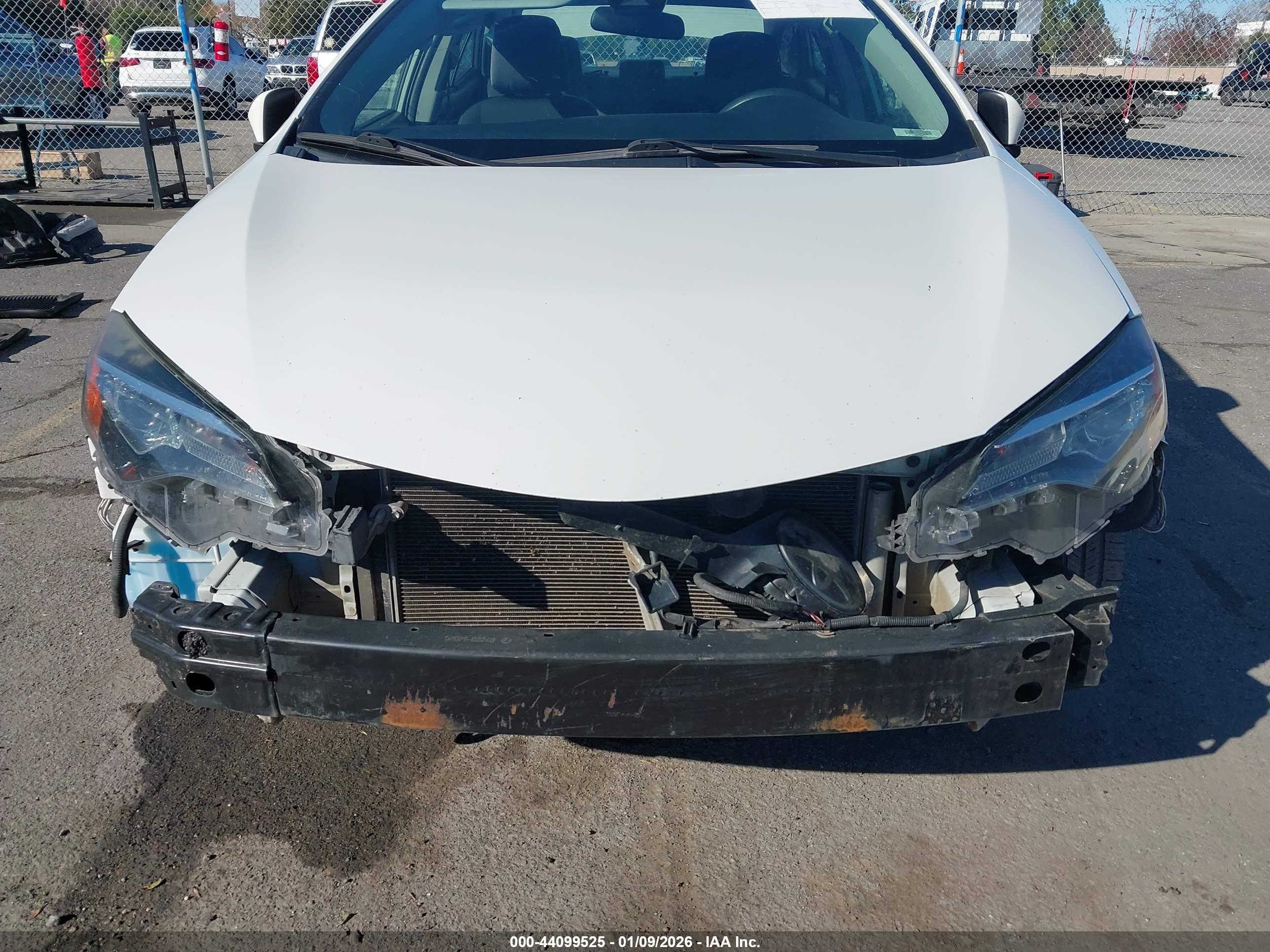 TOYOTA COROLLA image 6