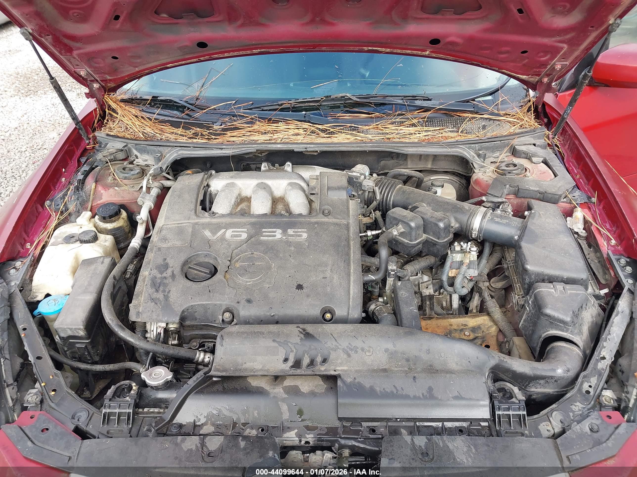 NISSAN MAXIMA image 10
