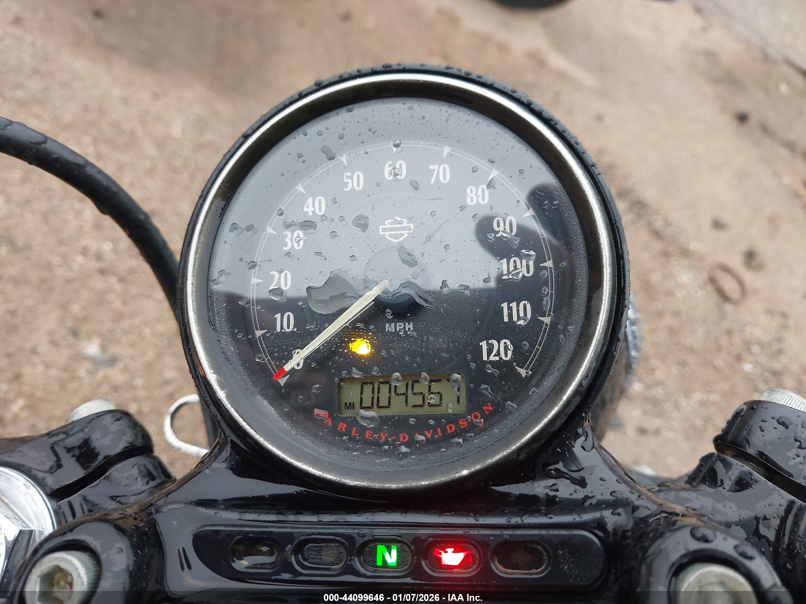 HARLEY-DAVIDSON XL1200 image 7