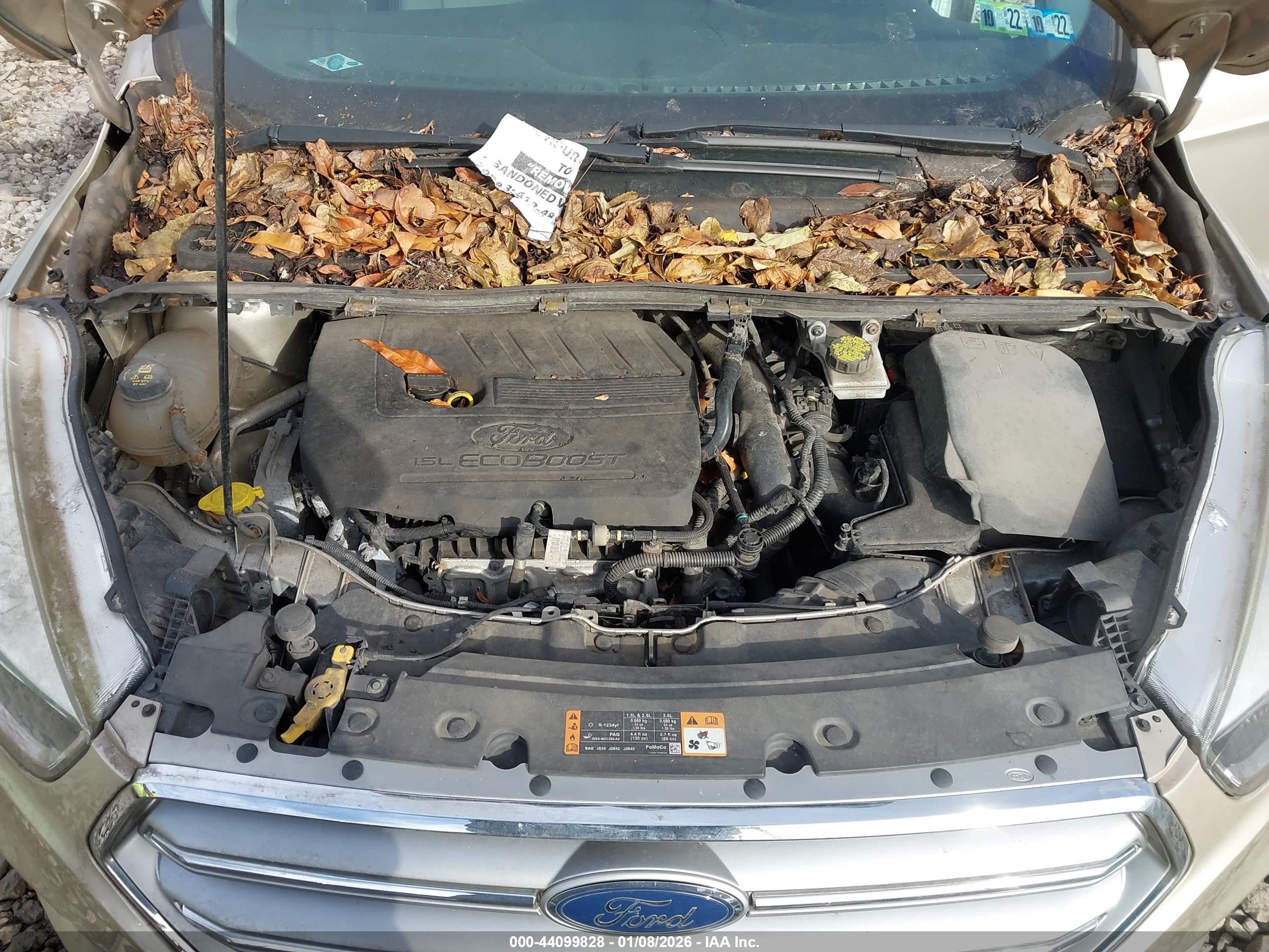 FORD ESCAPE image 10