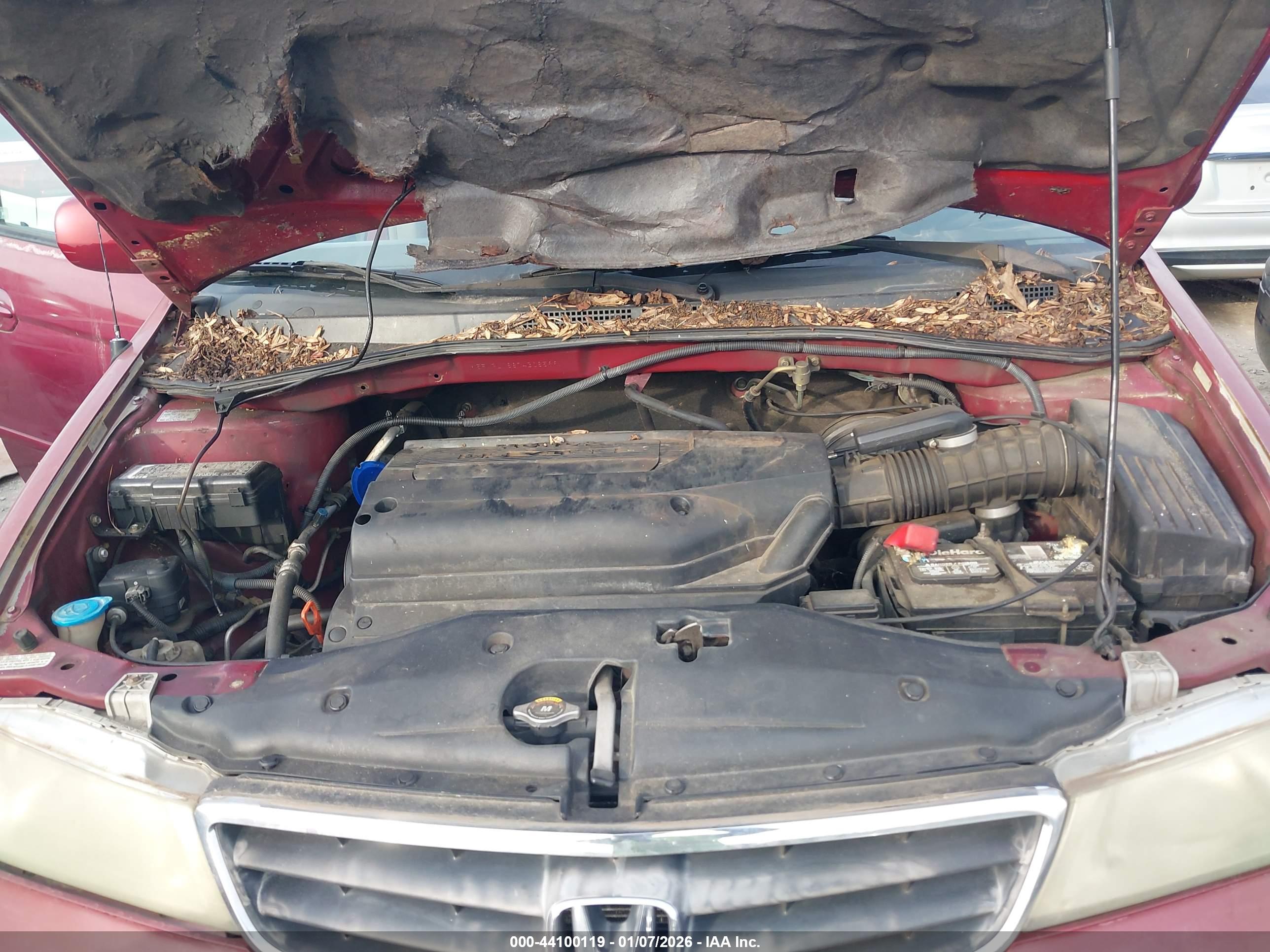 HONDA ODYSSEY image 10