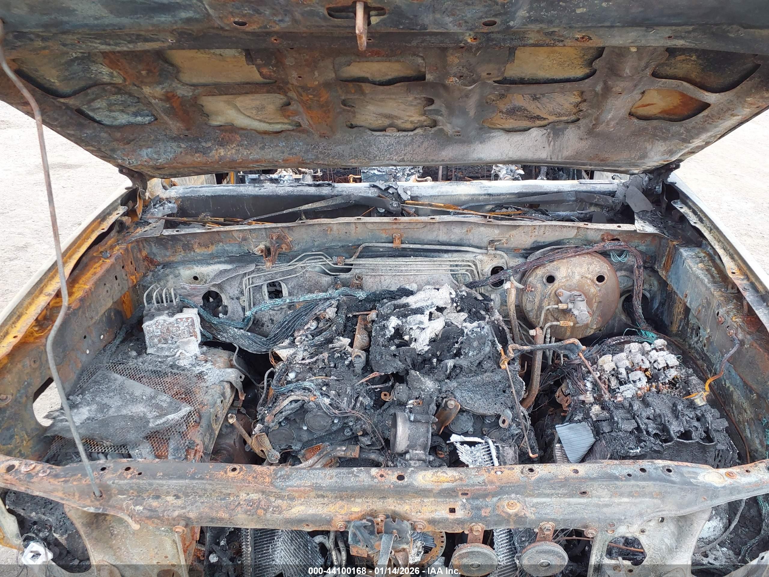 TOYOTA TACOMA image 10
