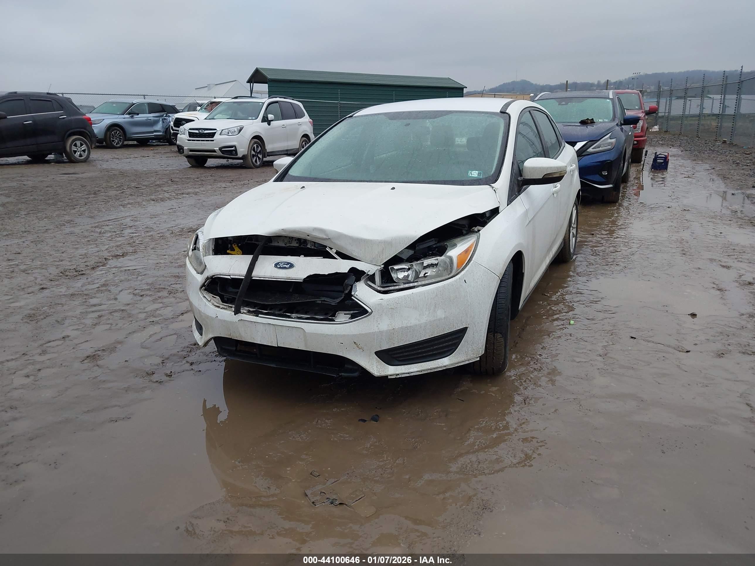 FORD FOCUS image 2