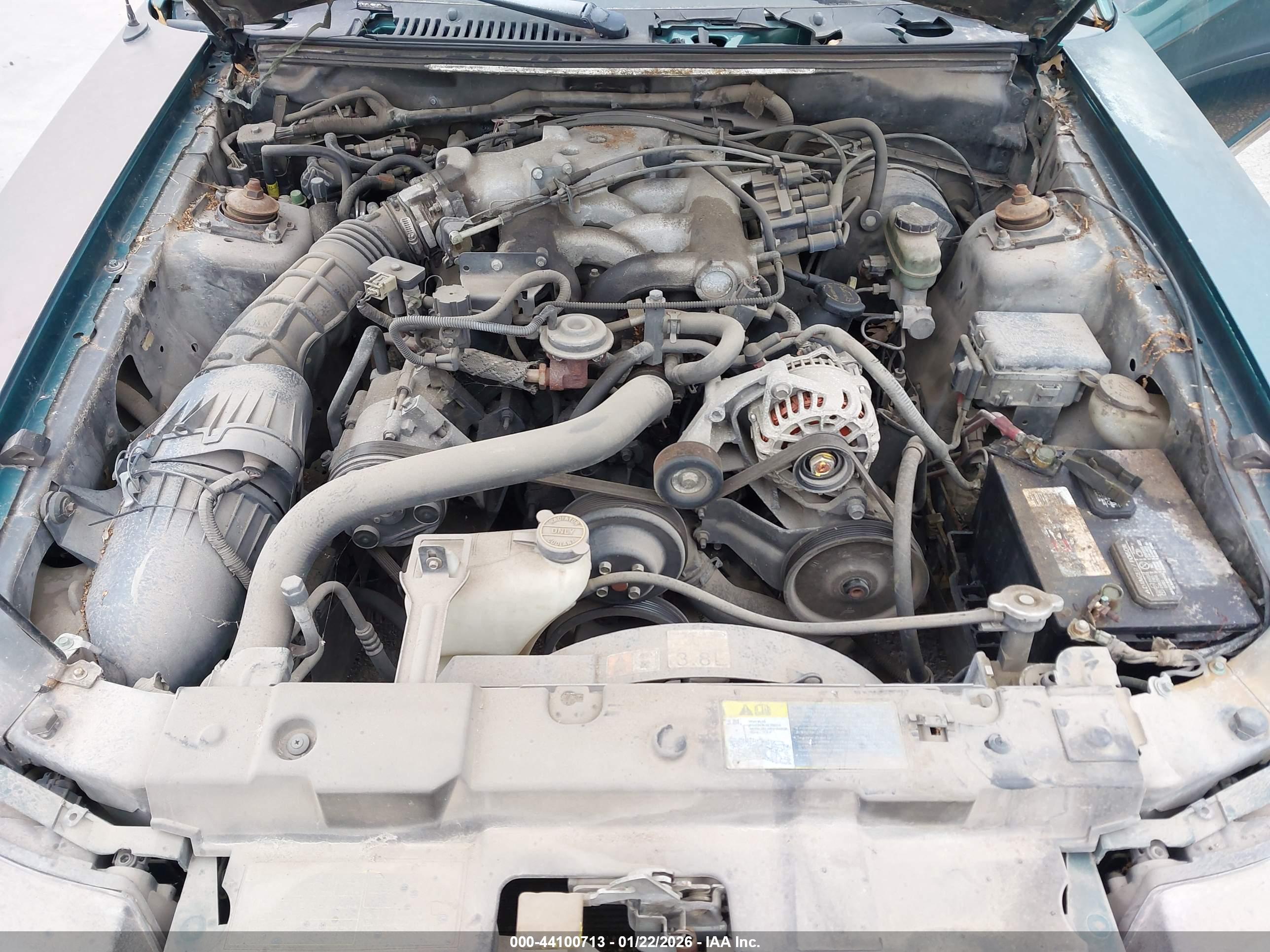 FORD MUSTANG image 10