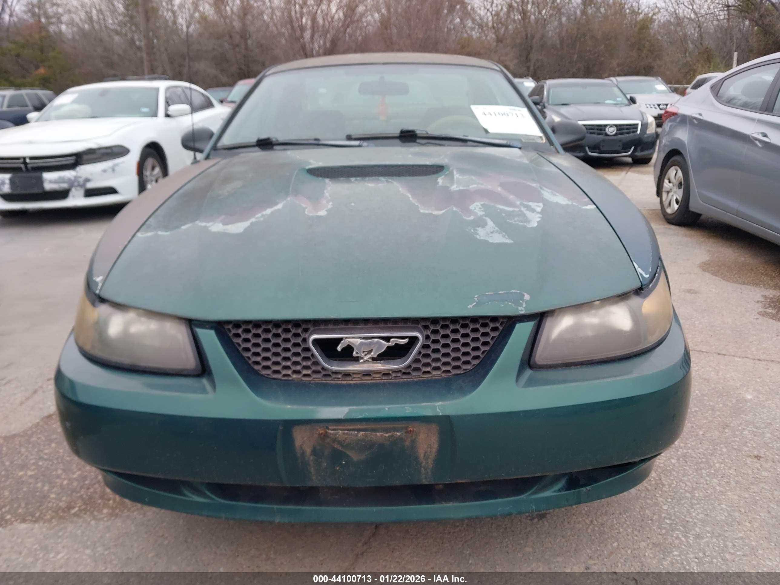 FORD MUSTANG image 6