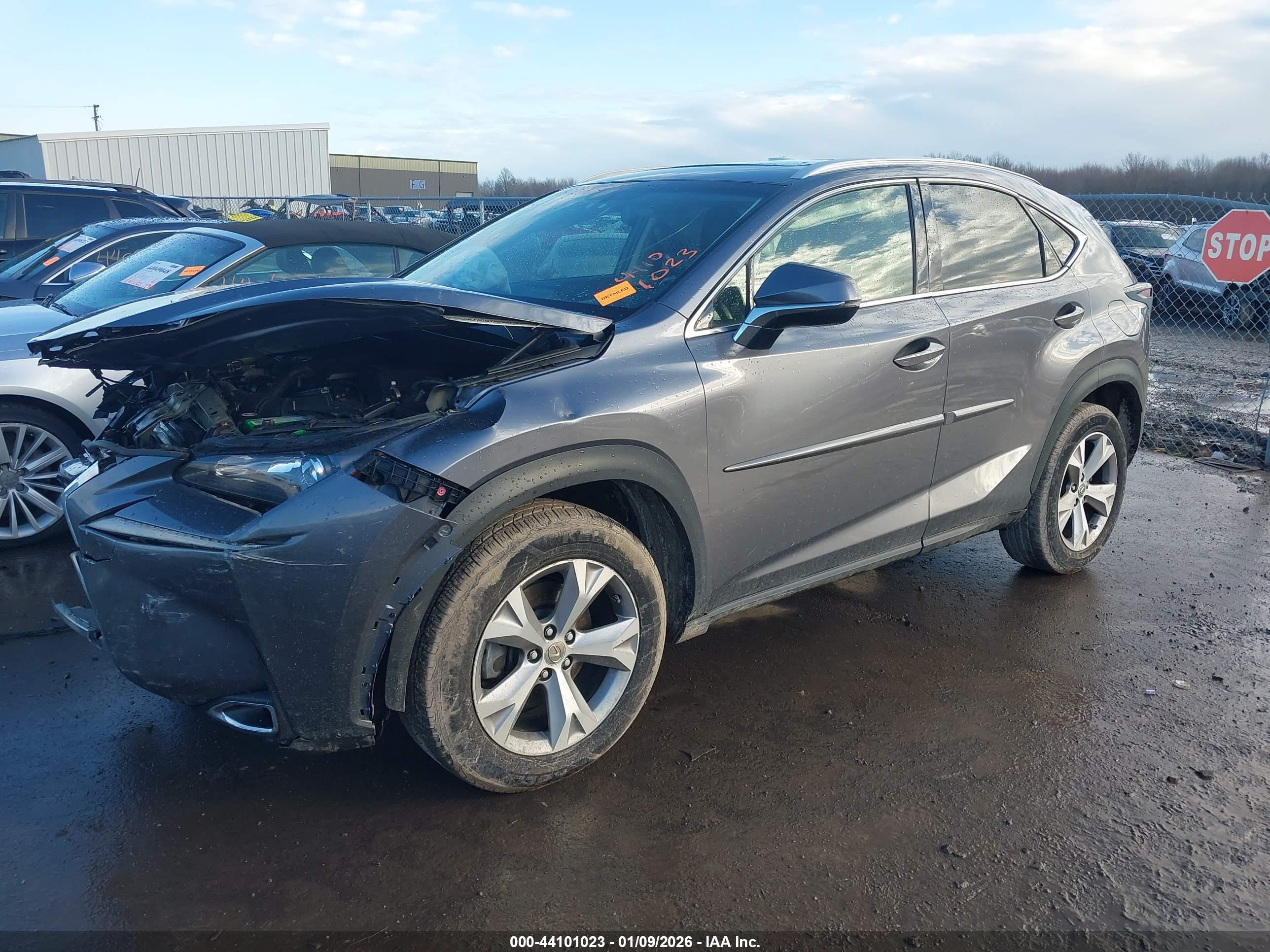 LEXUS NX image 2