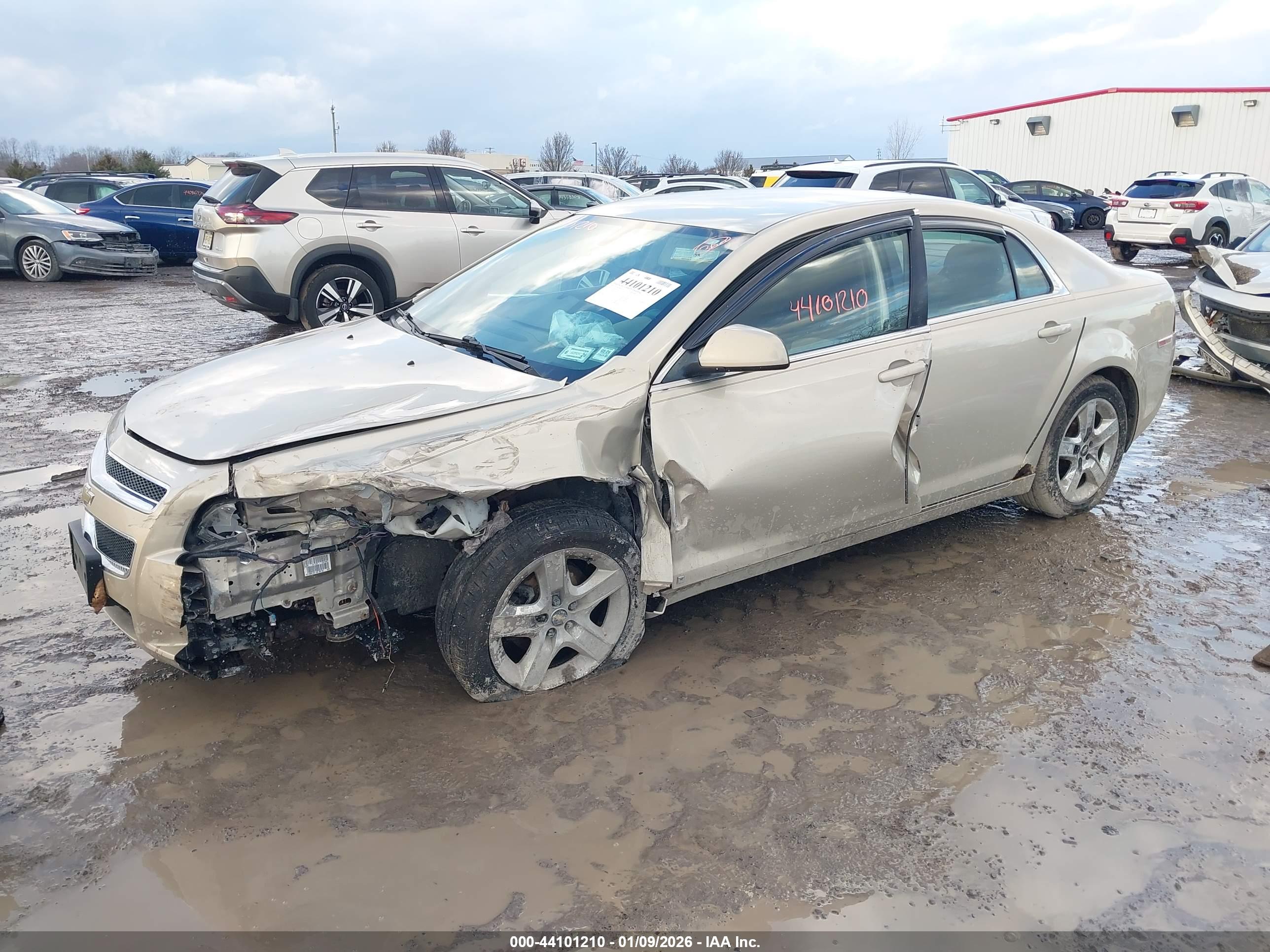 CHEVROLET MALIBU image 2
