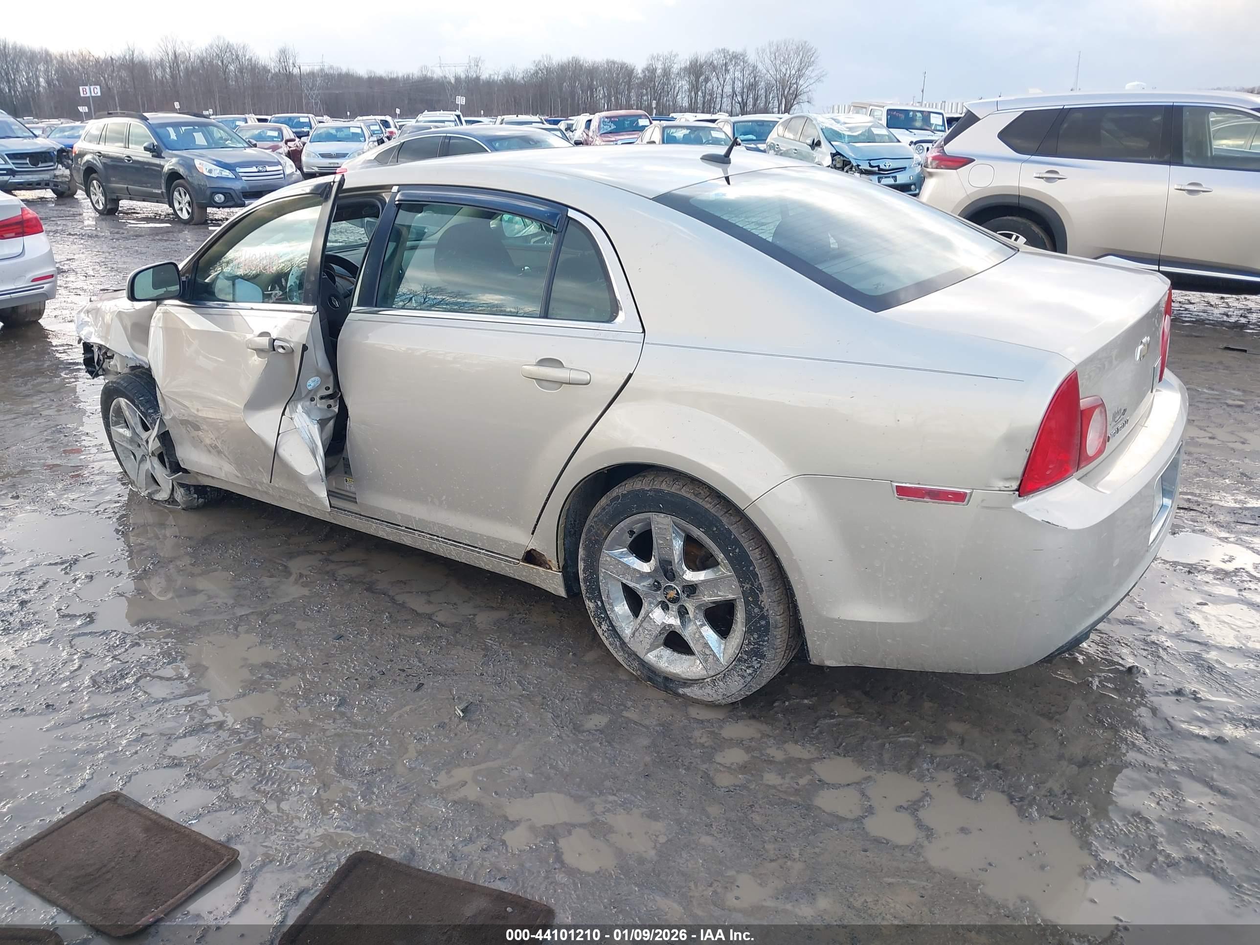 CHEVROLET MALIBU image 3