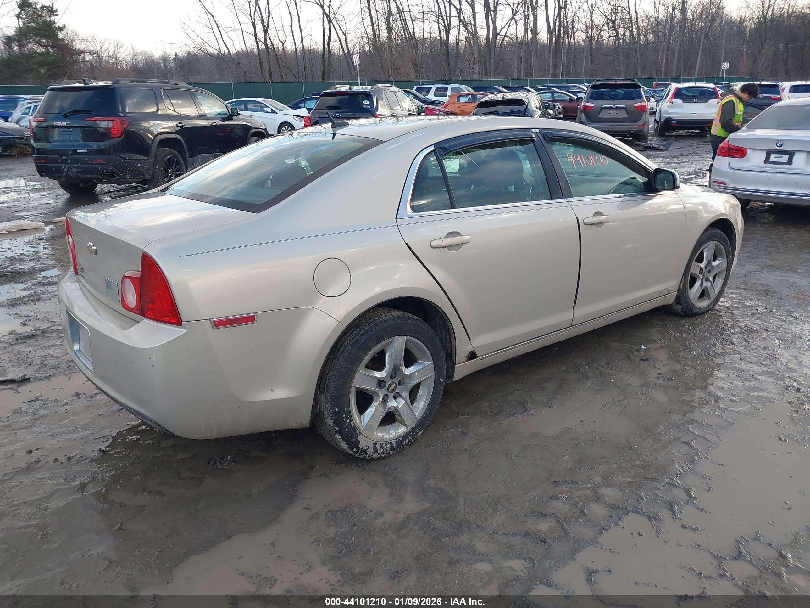 CHEVROLET MALIBU image 4