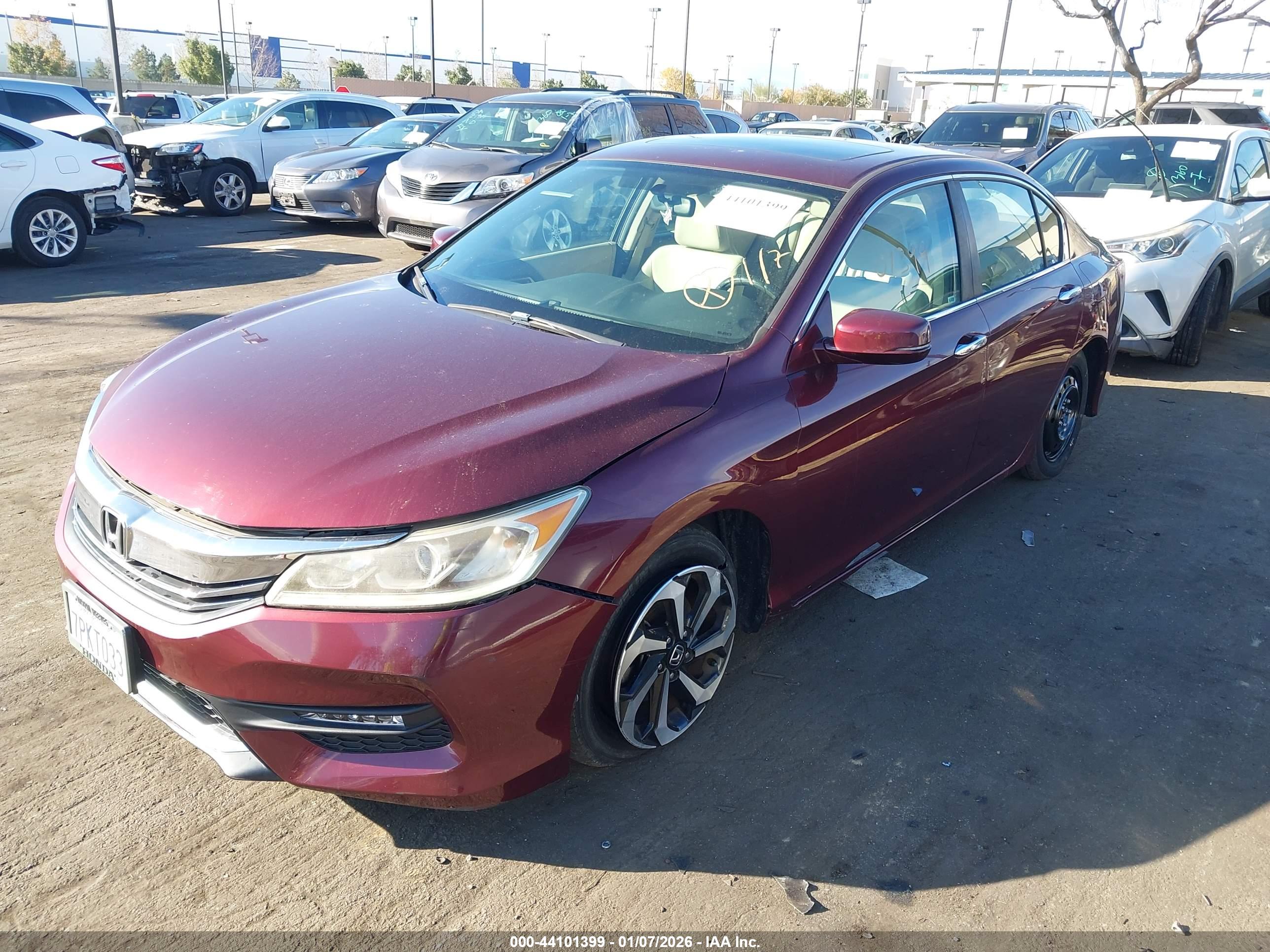 HONDA ACCORD image 2