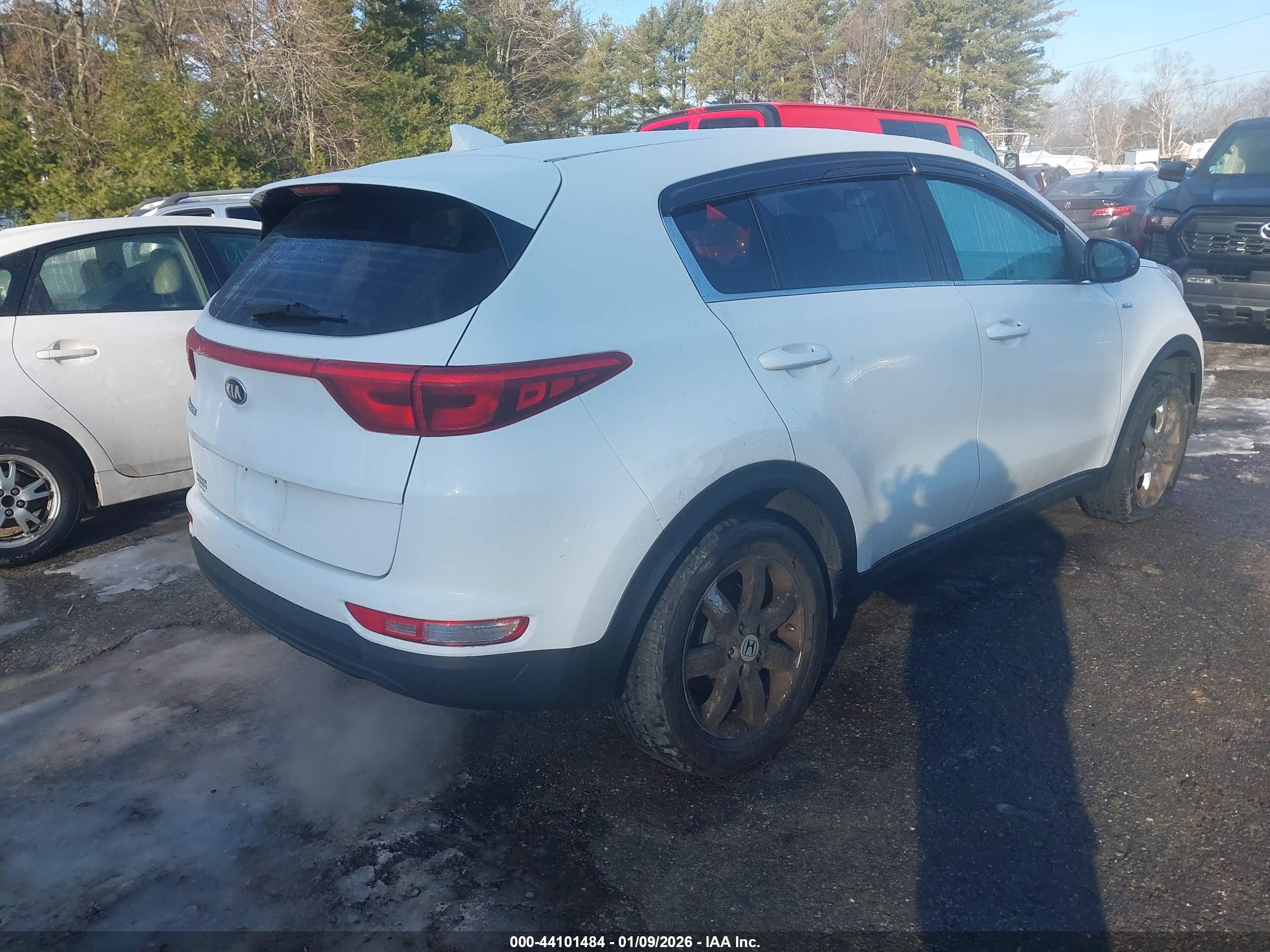 KIA SPORTAGE image 4