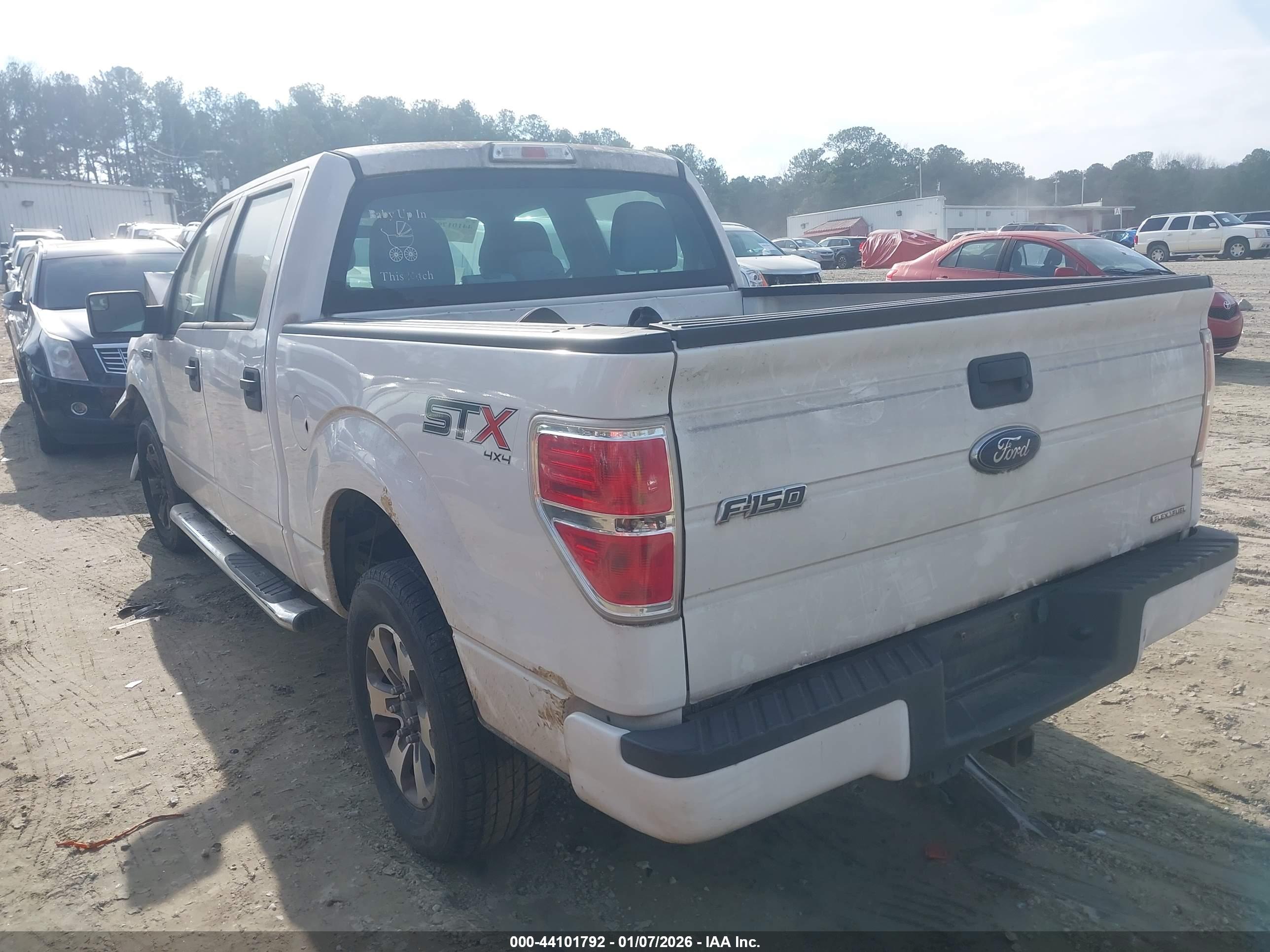 FORD F-150 image 3