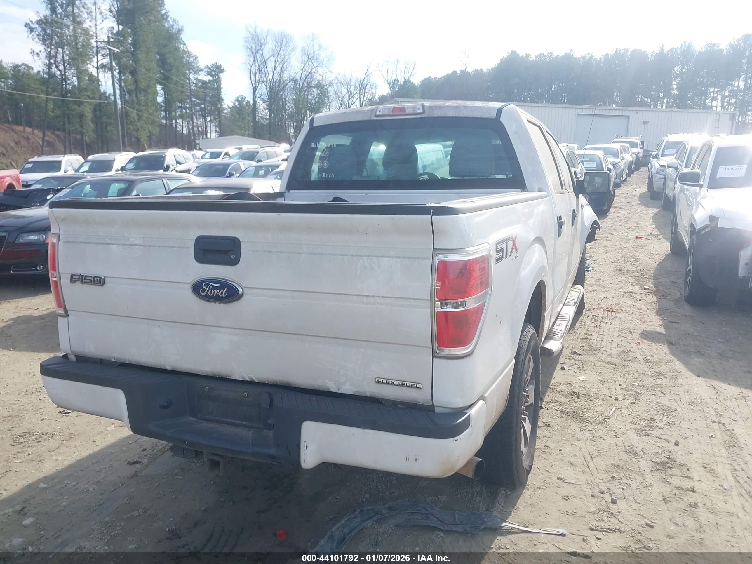 FORD F-150 image 4