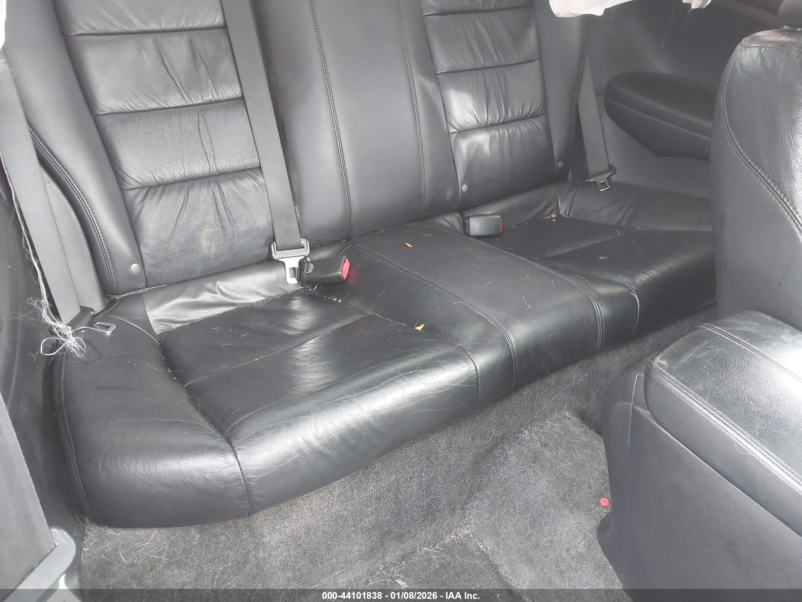 HONDA ACCORD image 8