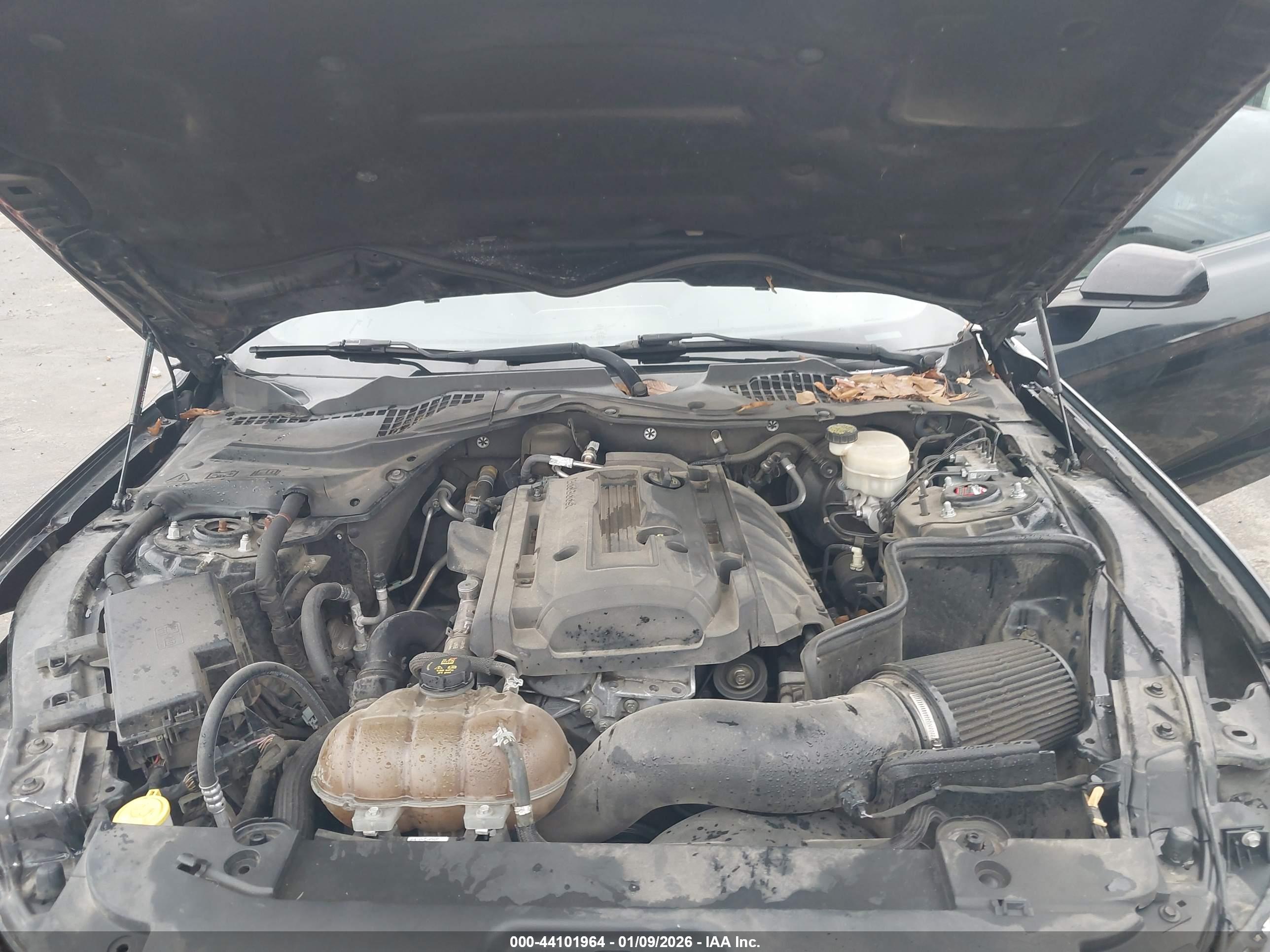 FORD MUSTANG image 10