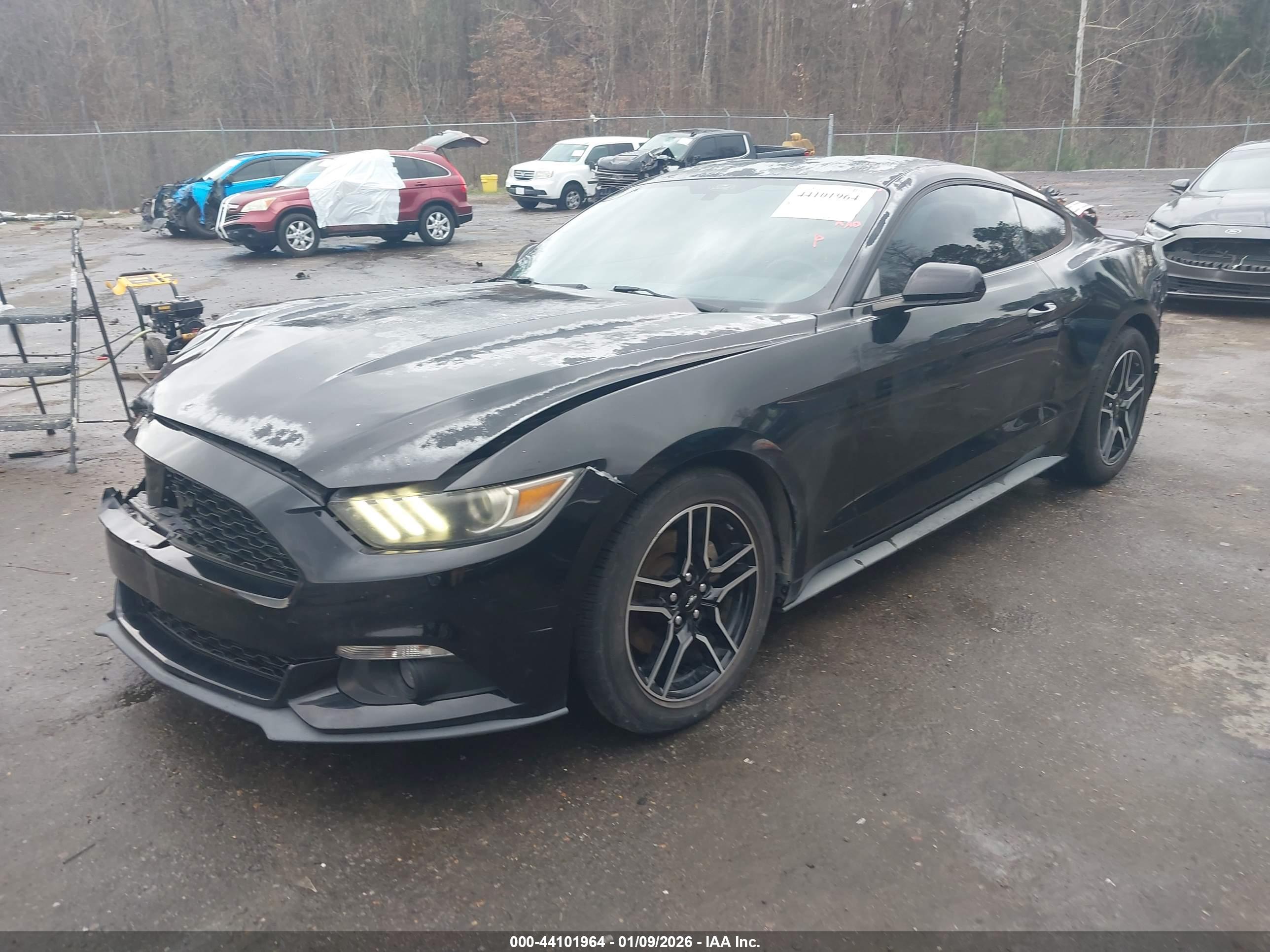 FORD MUSTANG image 2