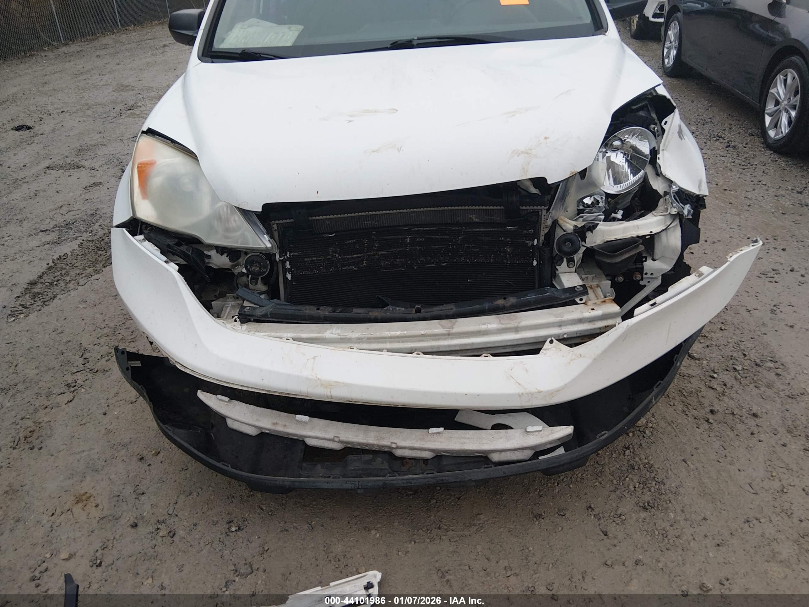HONDA CR-V image 6