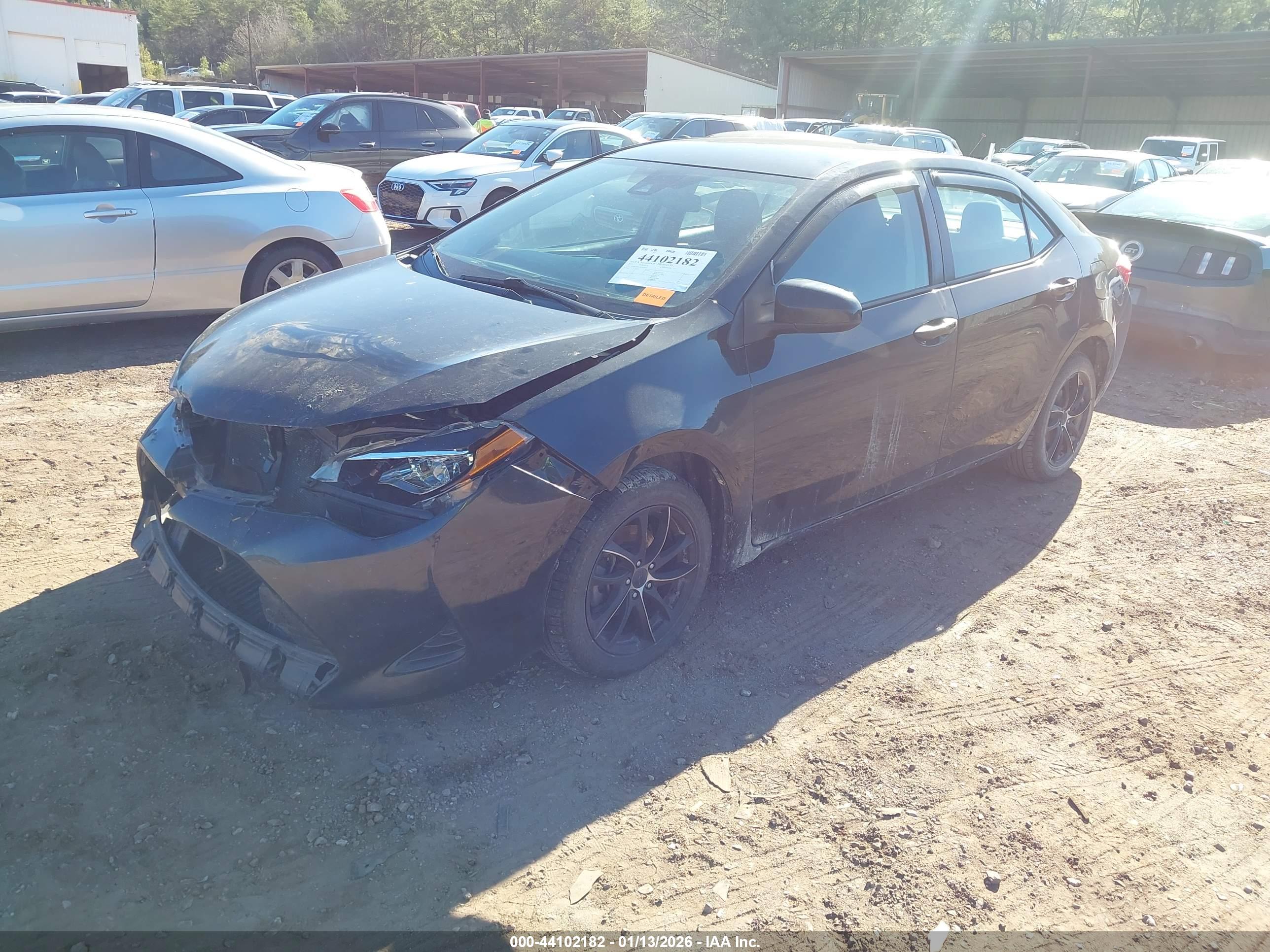 TOYOTA COROLLA image 2