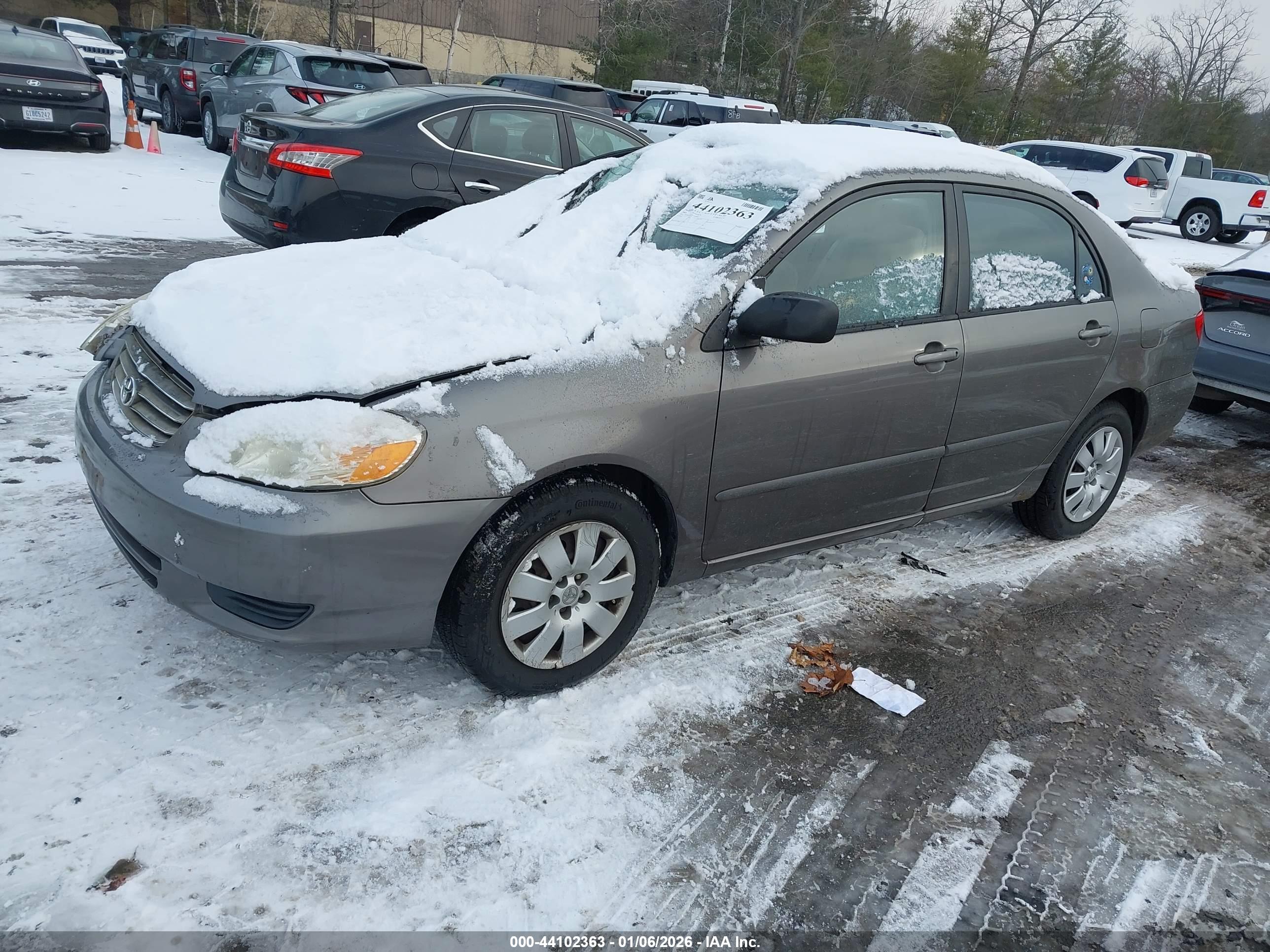 TOYOTA COROLLA image 2