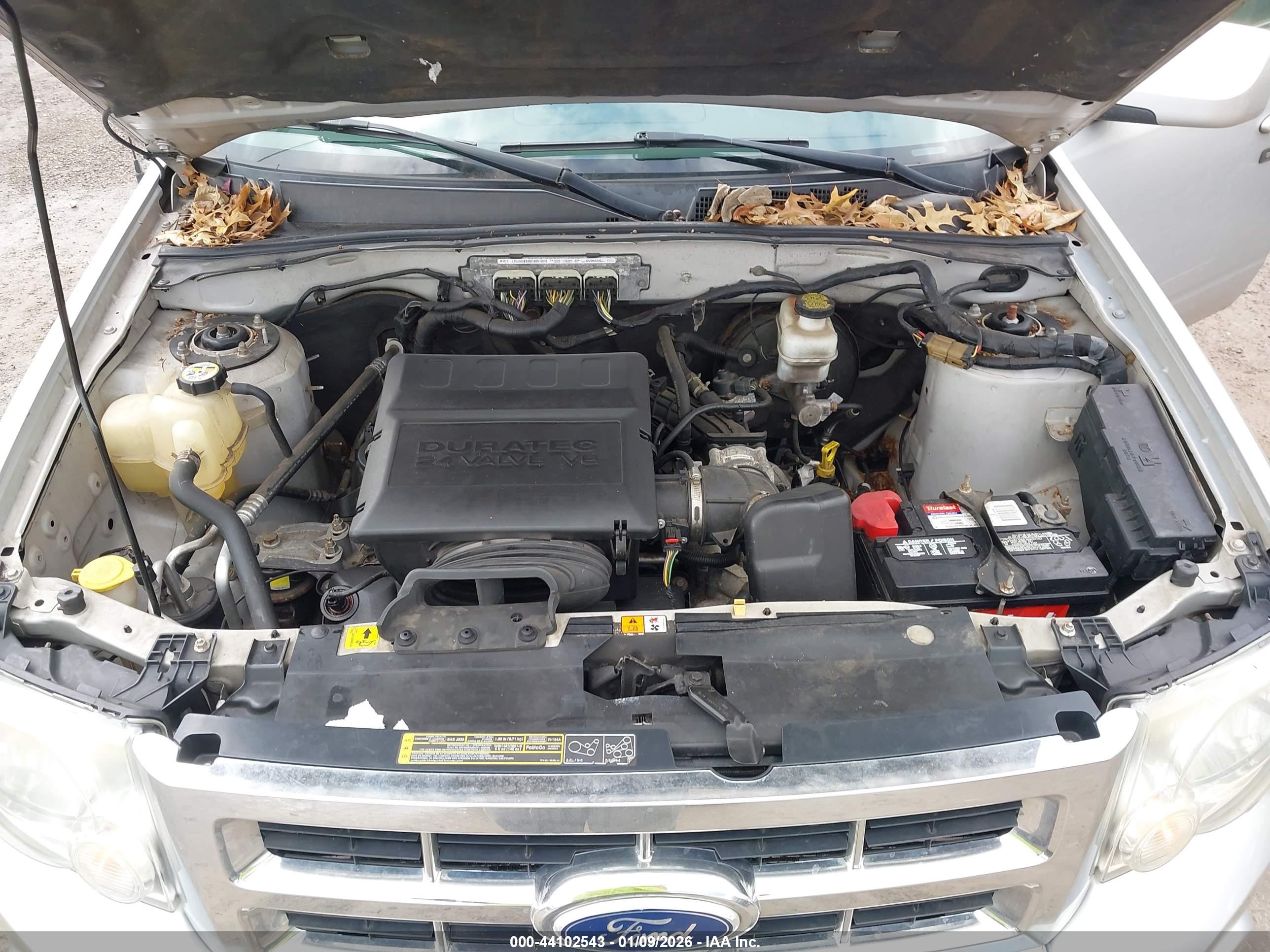 FORD ESCAPE image 10