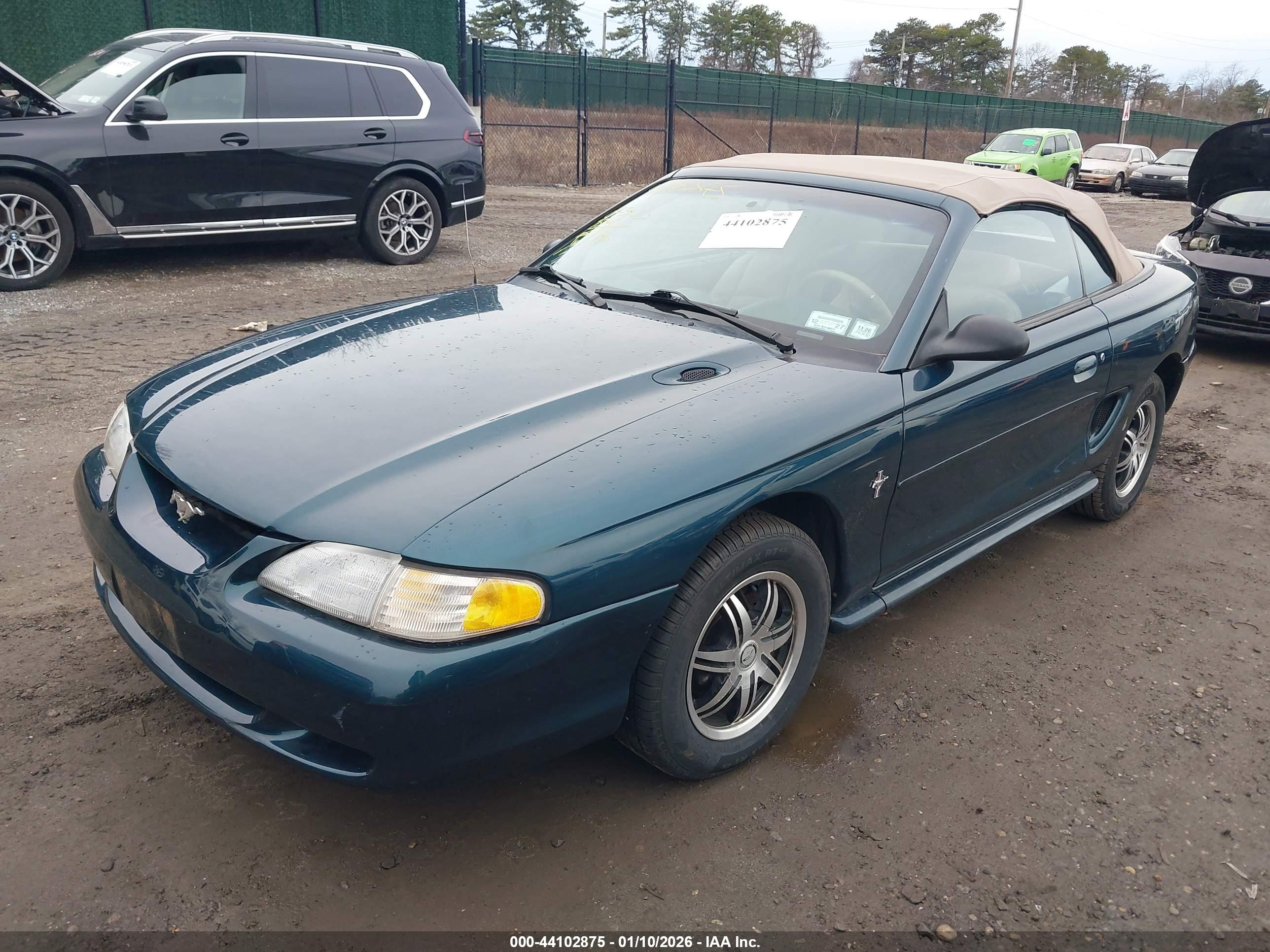 FORD MUSTANG image 2