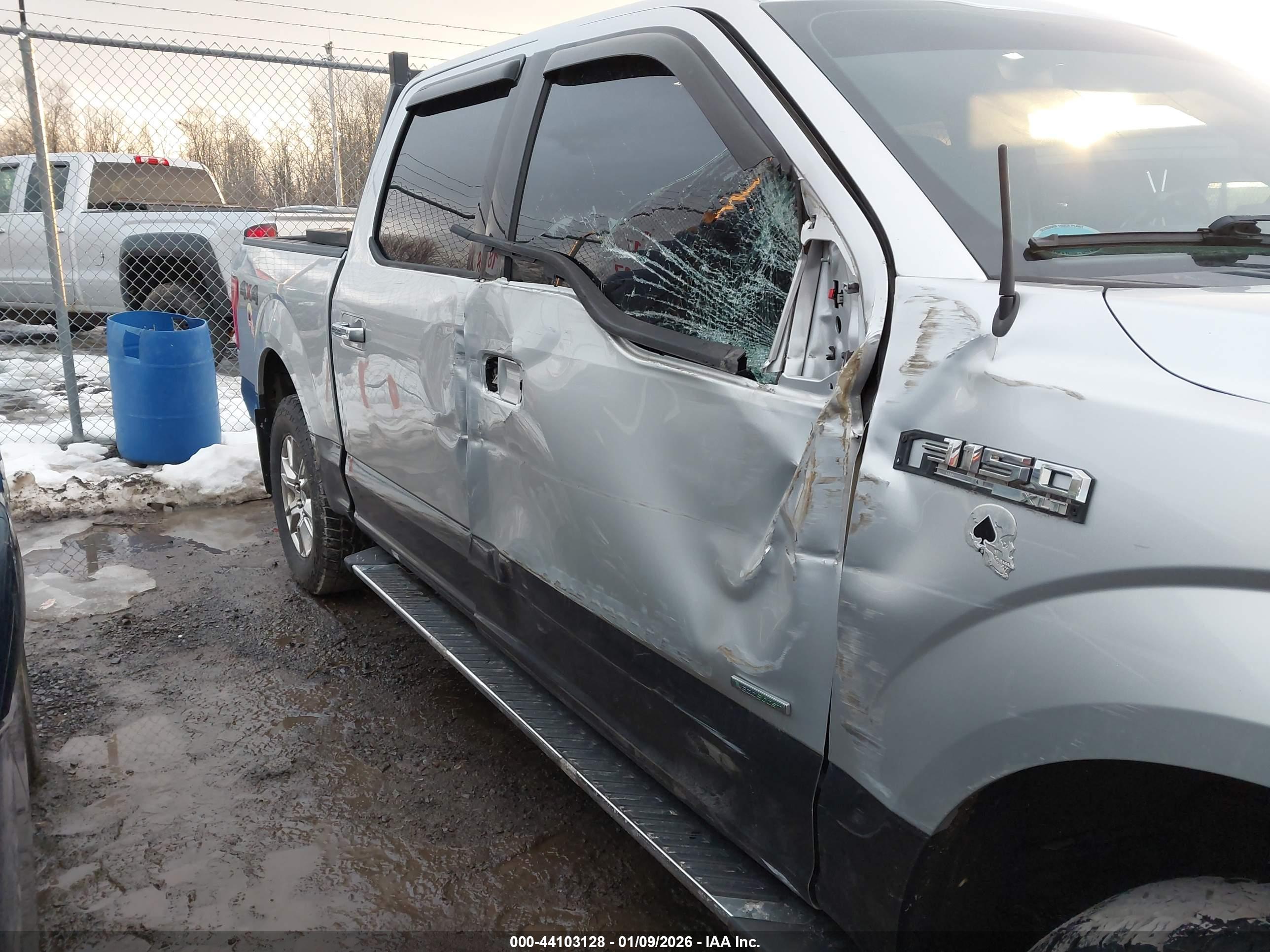 FORD F-150 image 6