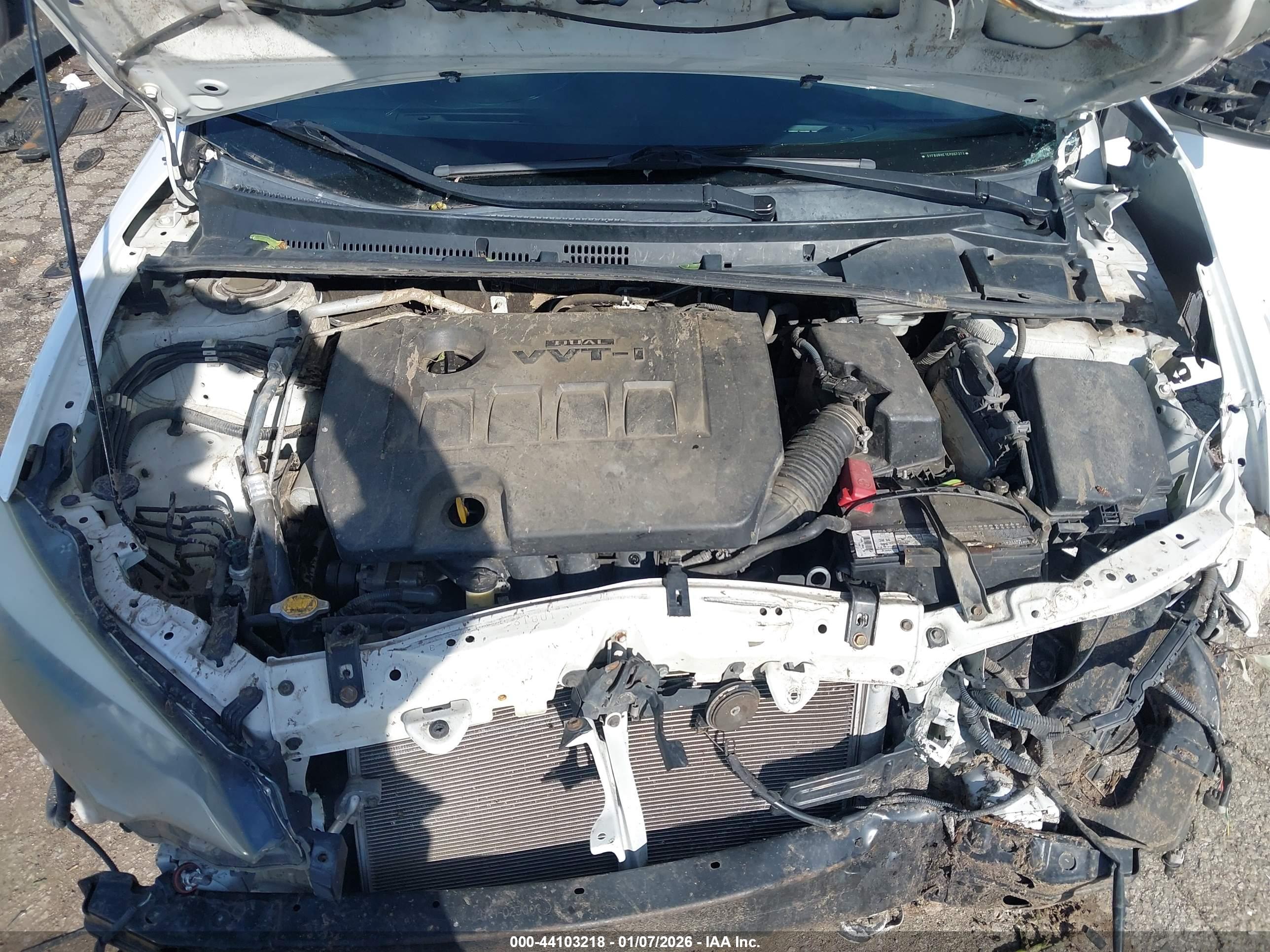 TOYOTA COROLLA image 10