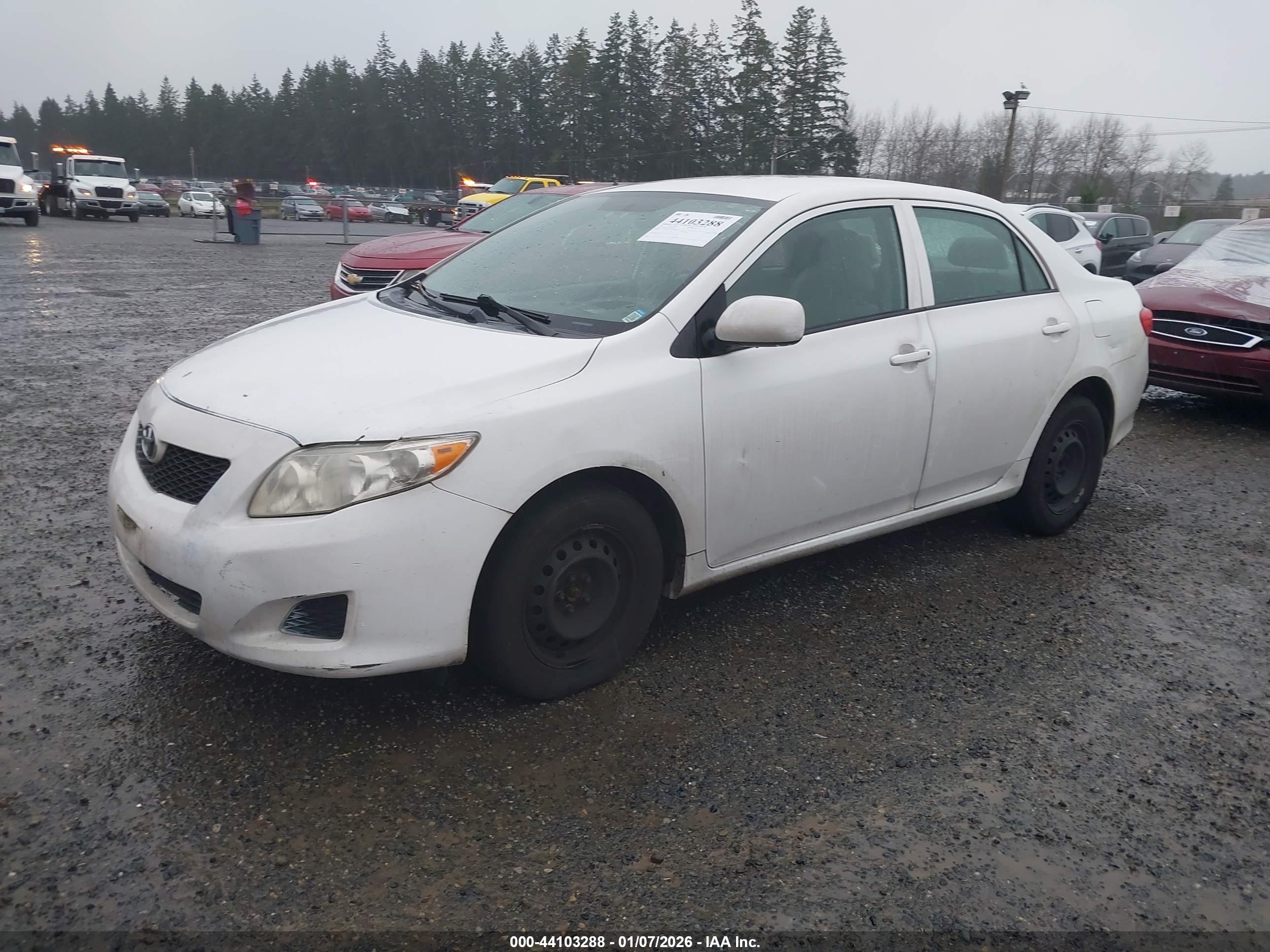TOYOTA COROLLA image 2