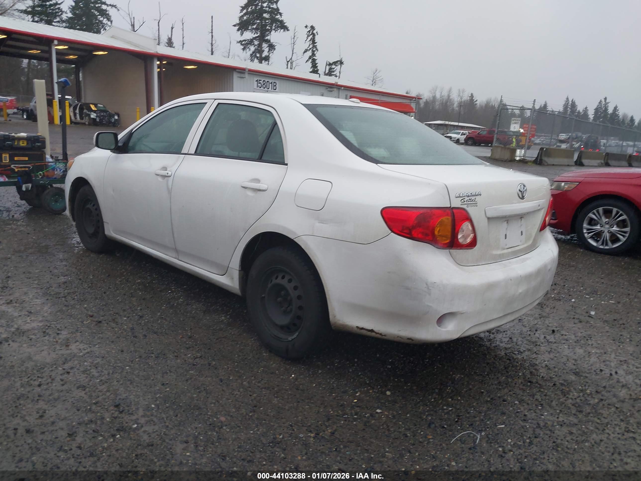 TOYOTA COROLLA image 3