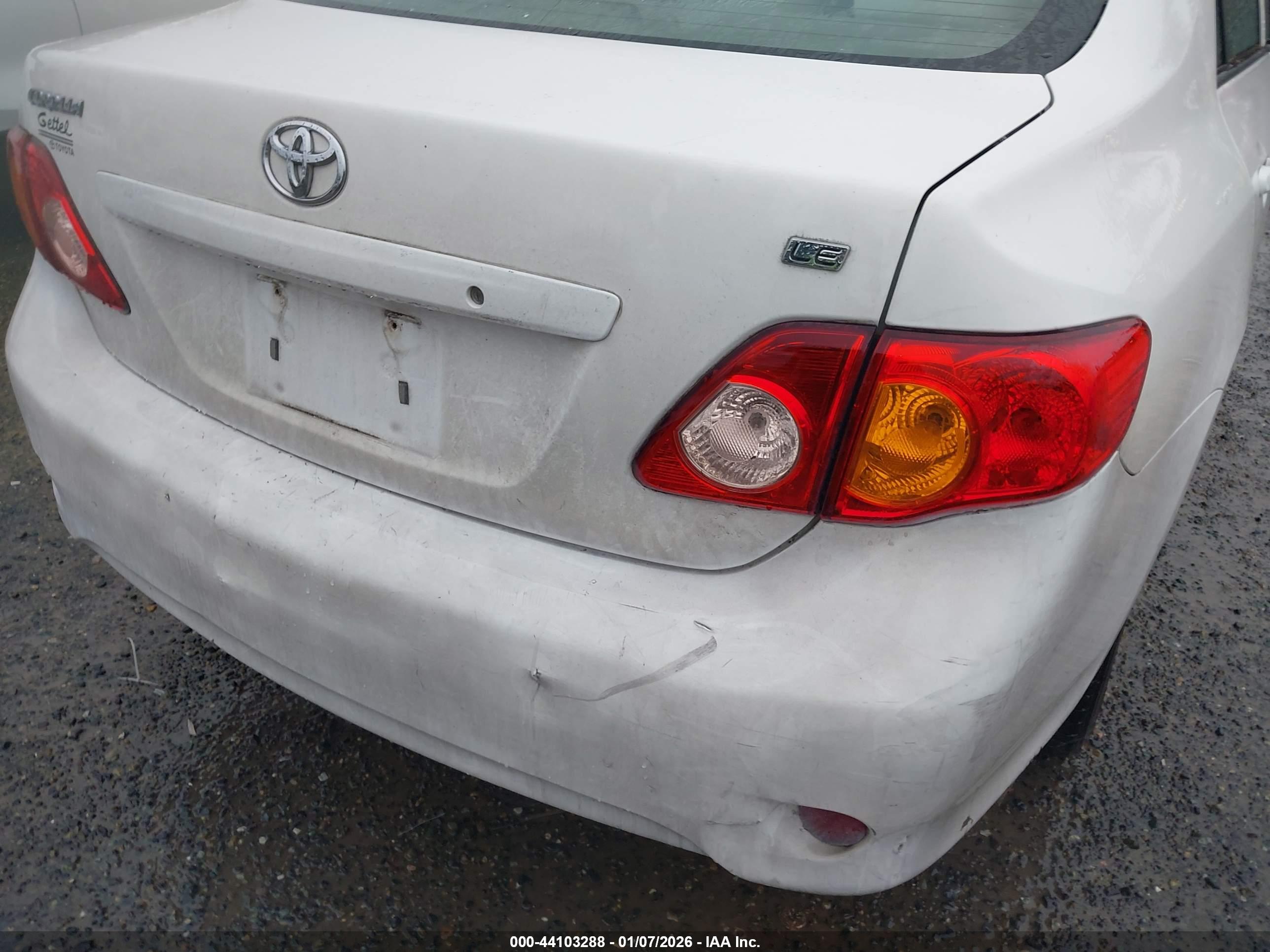 TOYOTA COROLLA image 6
