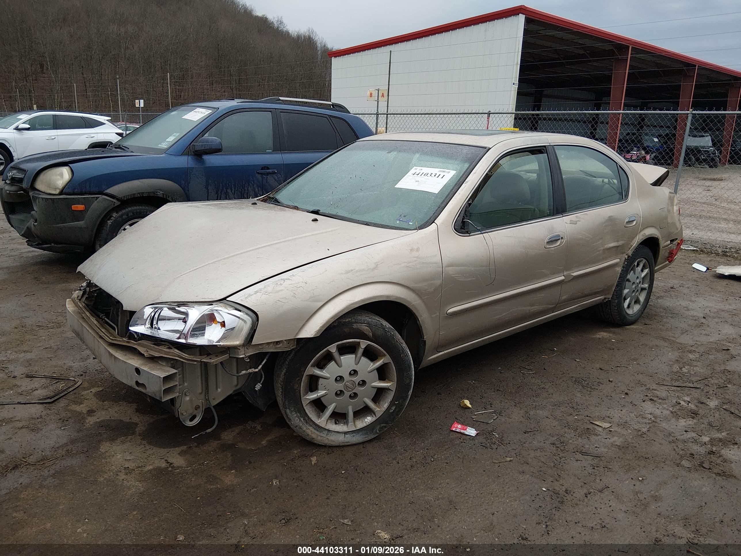 NISSAN MAXIMA image 2