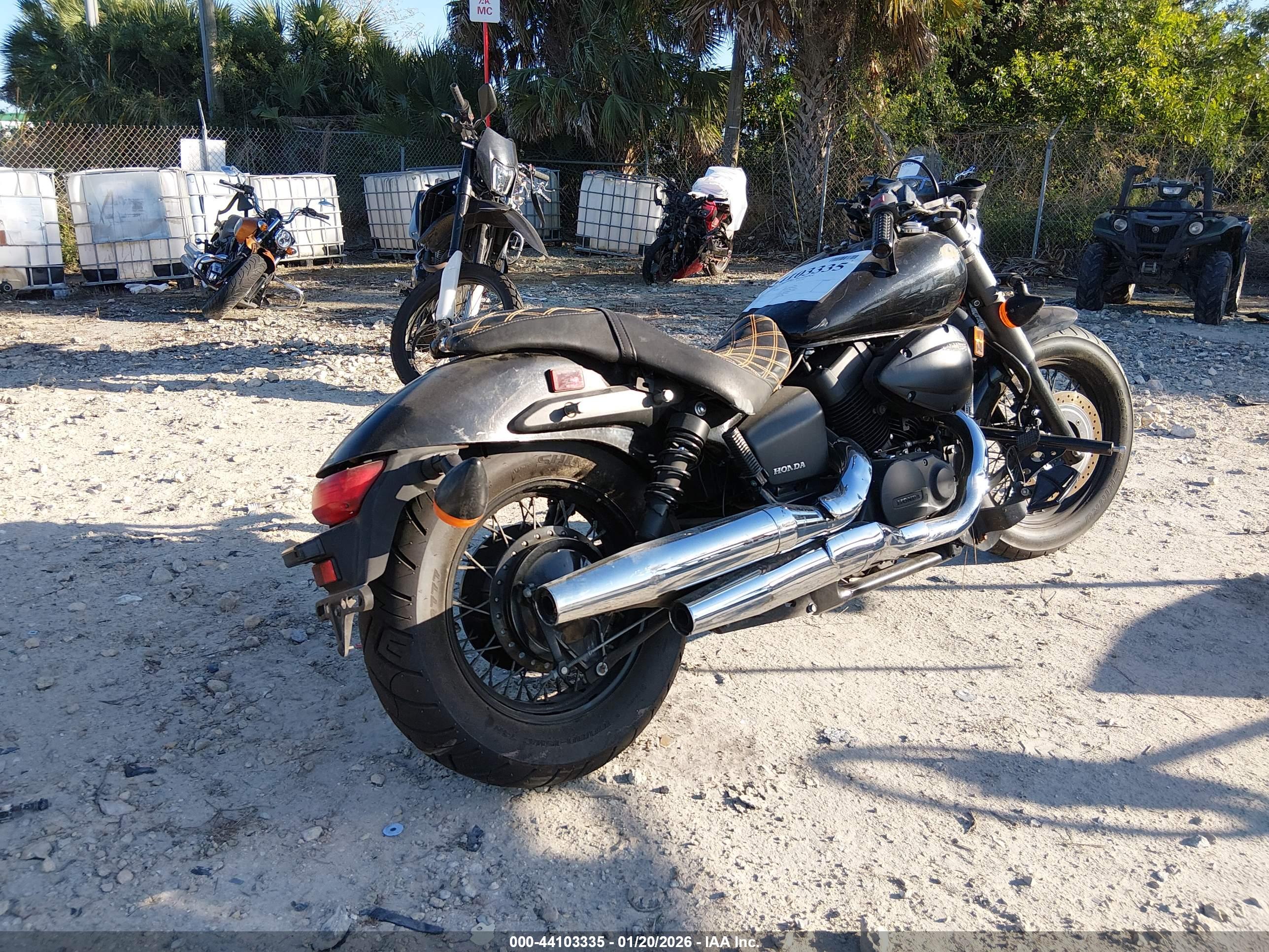 HONDA VT750 image 4