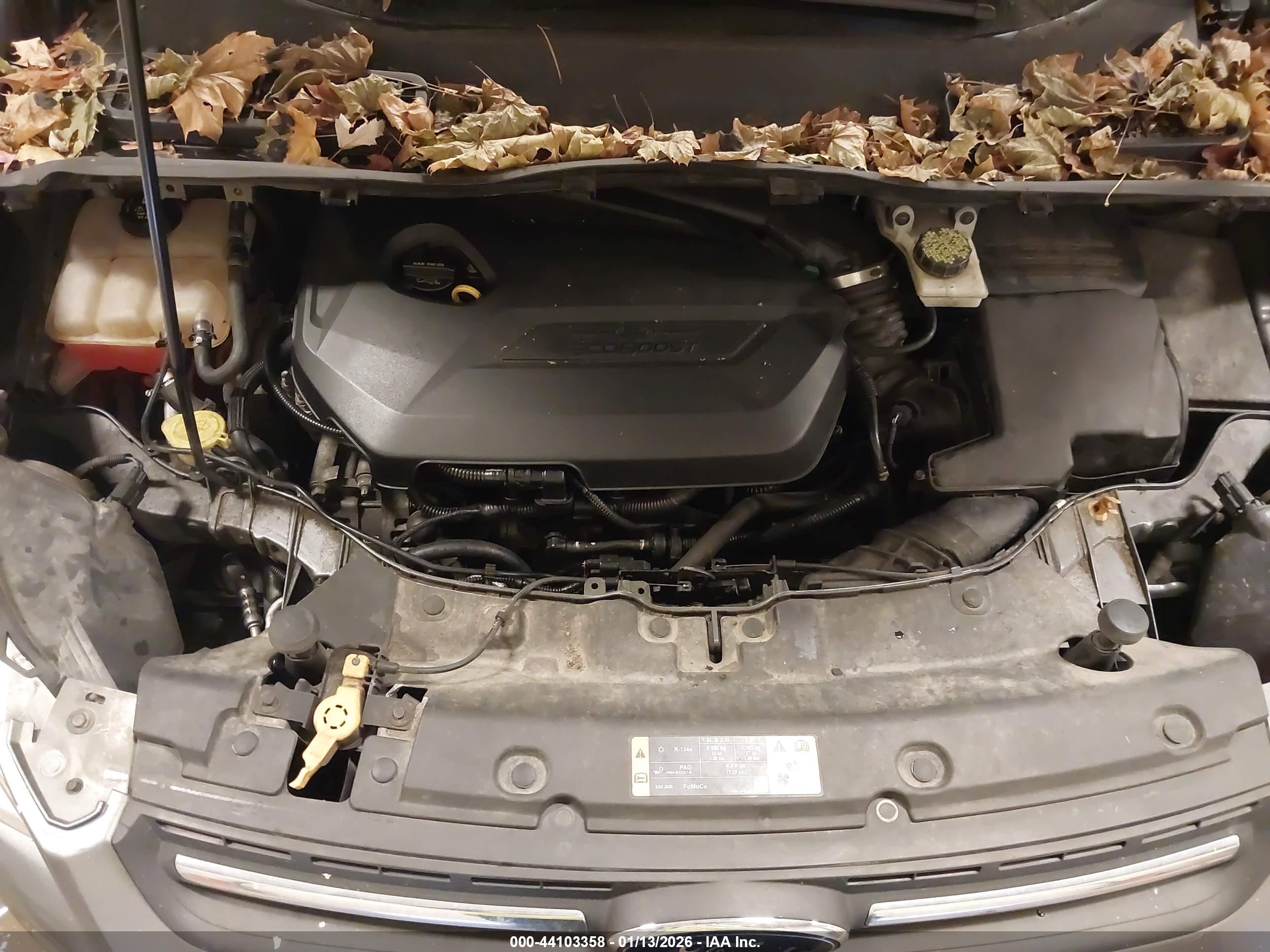 FORD ESCAPE image 10