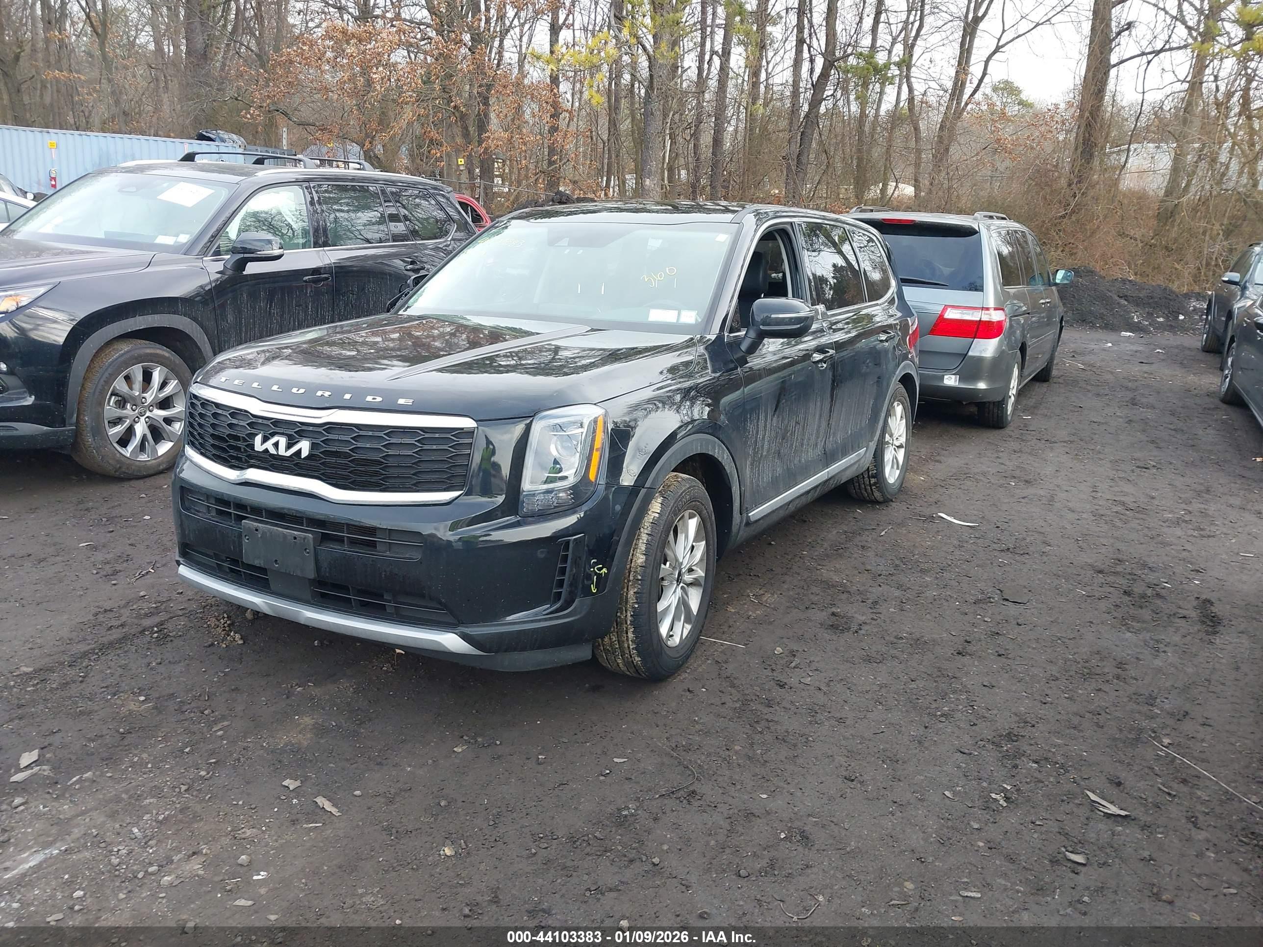 KIA TELLURIDE image 2