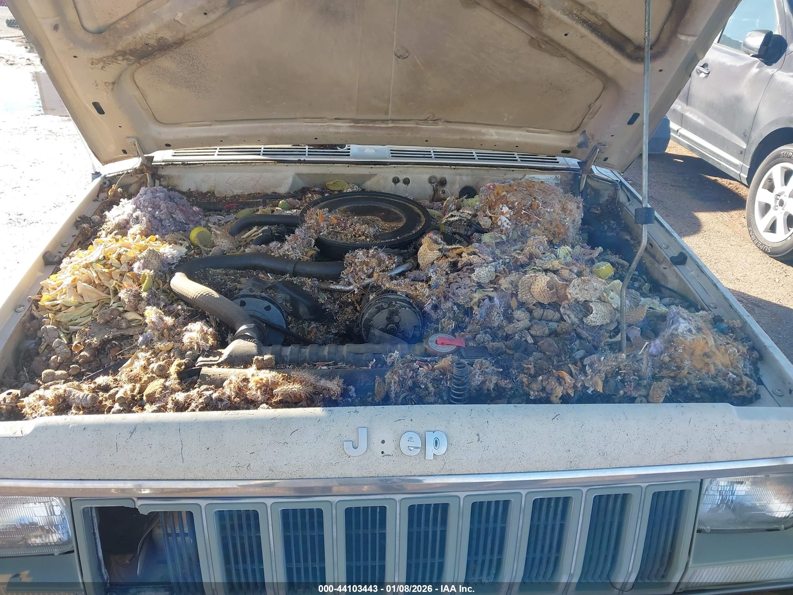 JEEP CHEROKEE image 10