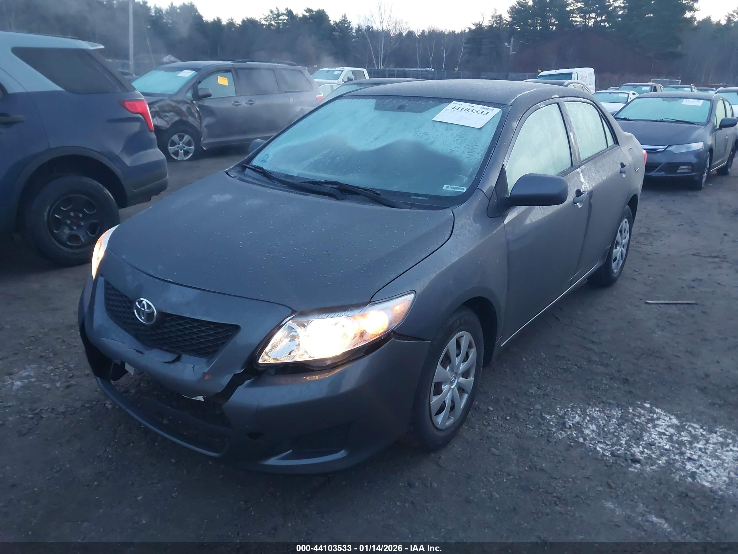 TOYOTA COROLLA image 2